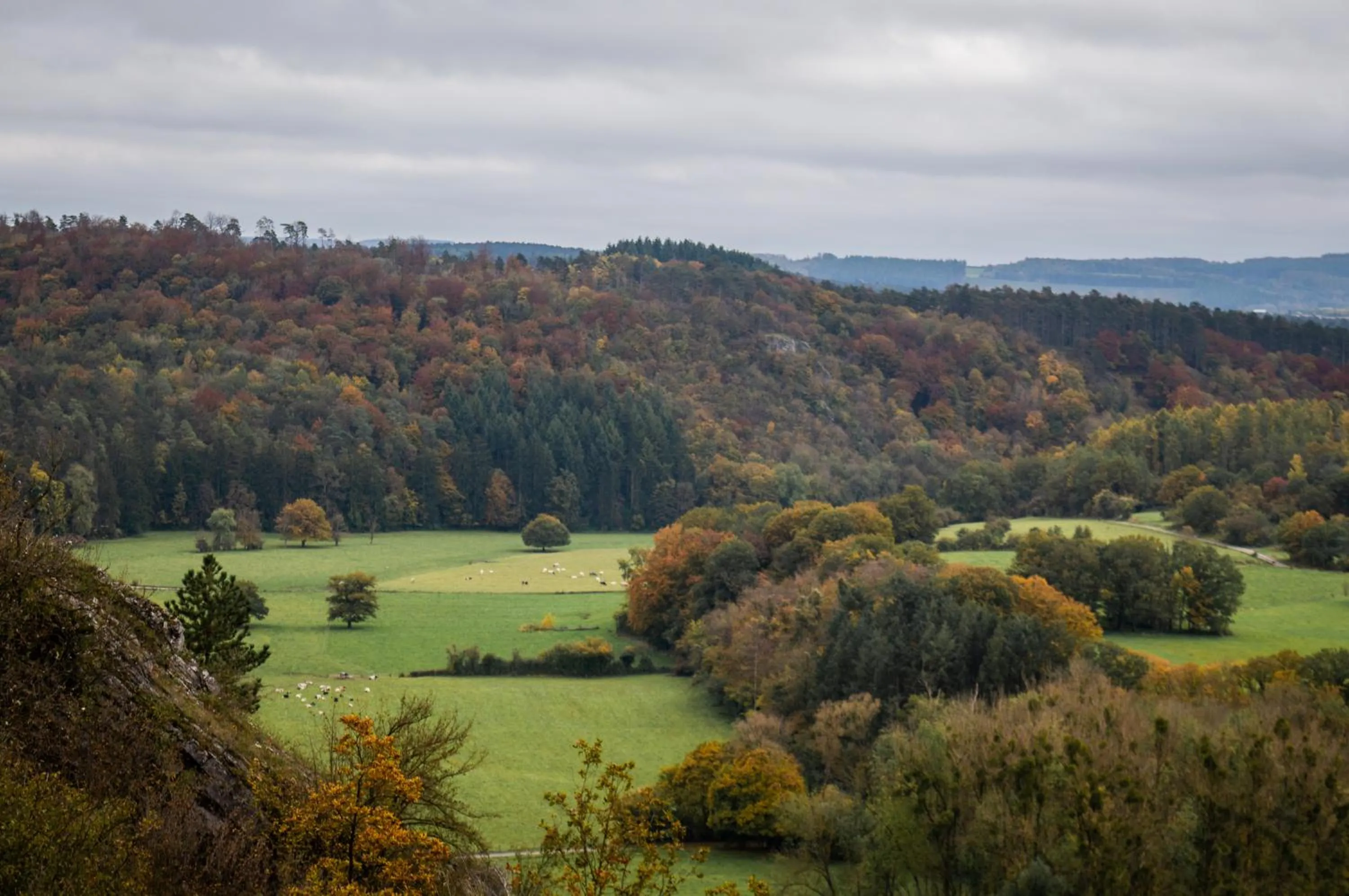 Natural landscape in Mercure Han-sur-Lesse