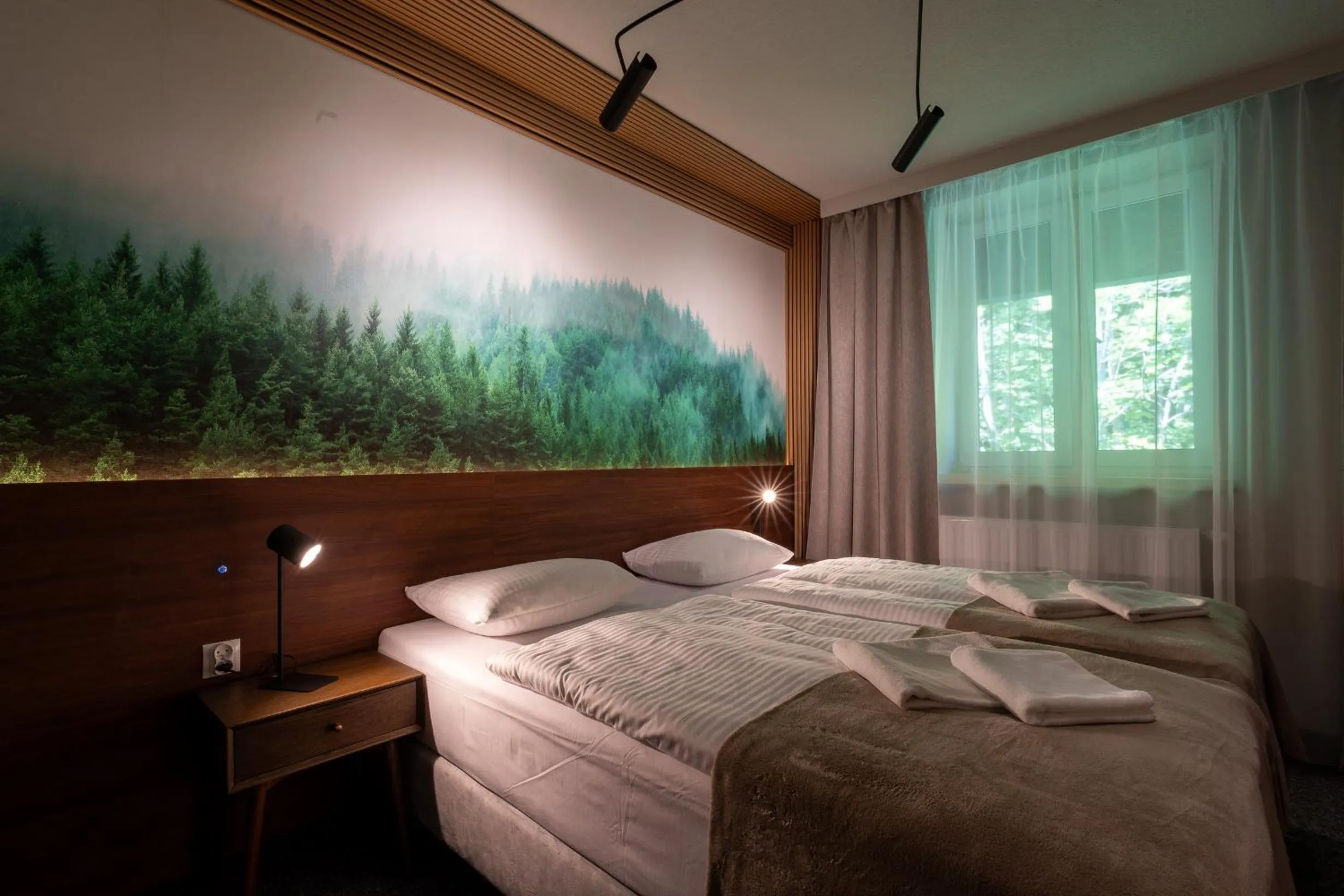 Bed in OW Sudety