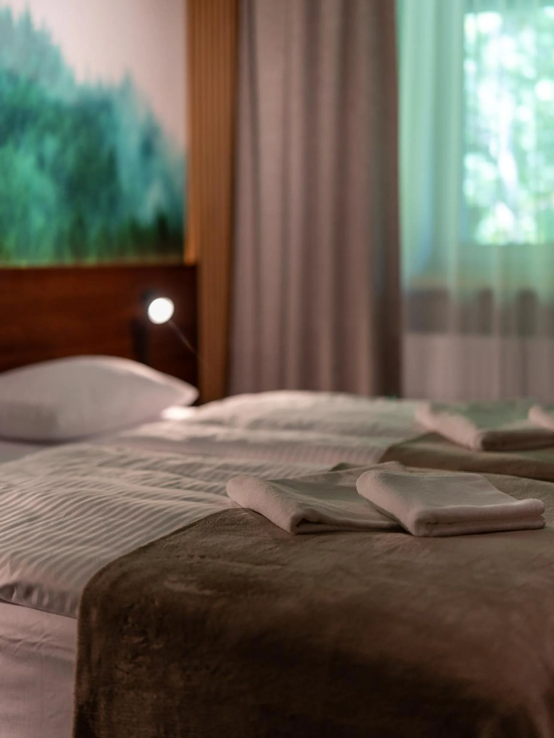 Bed in OW Sudety