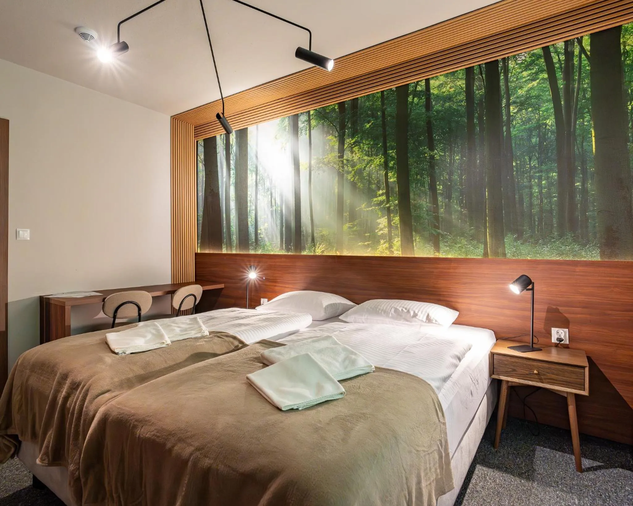 Bed in OW Sudety