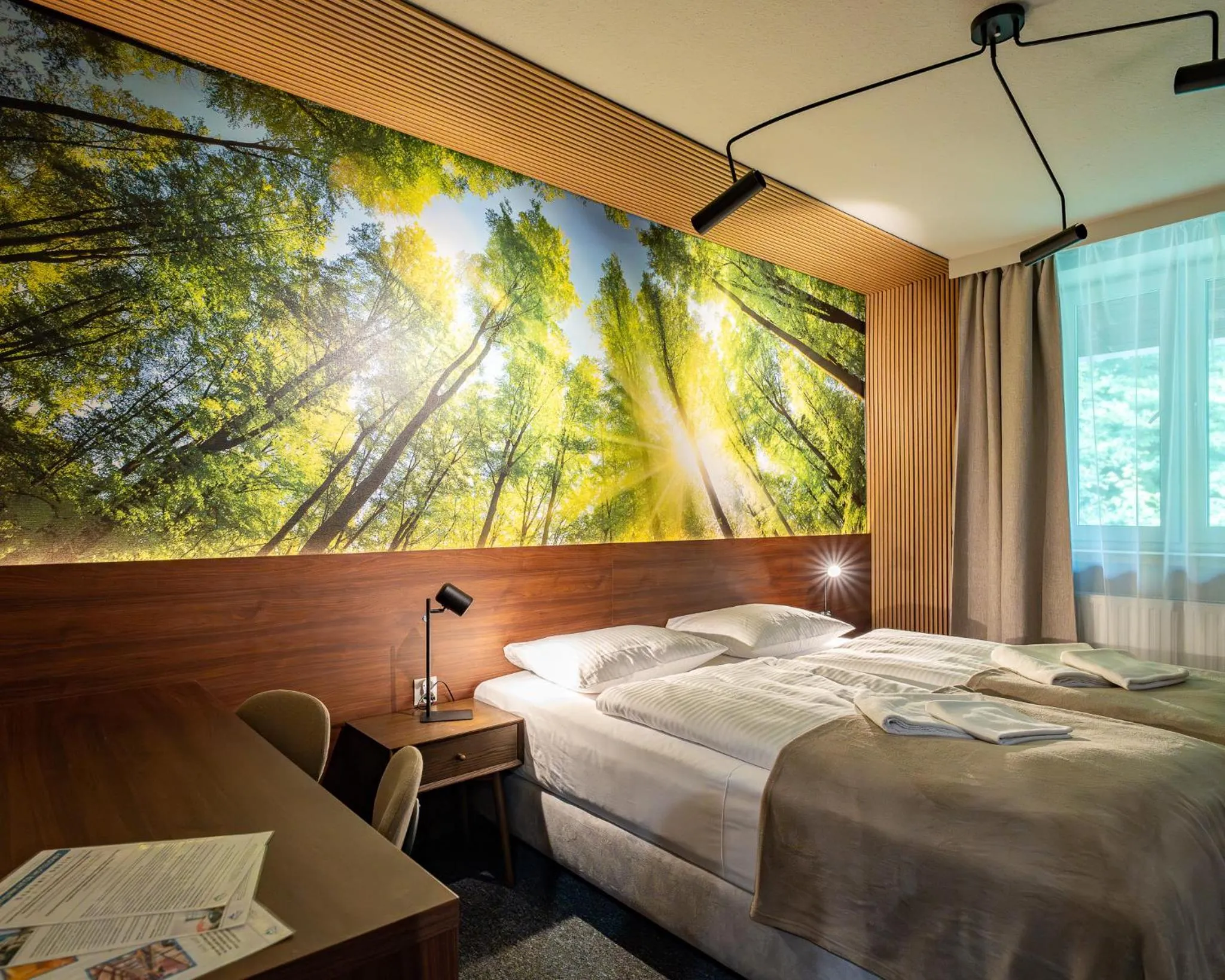 Bed in OW Sudety