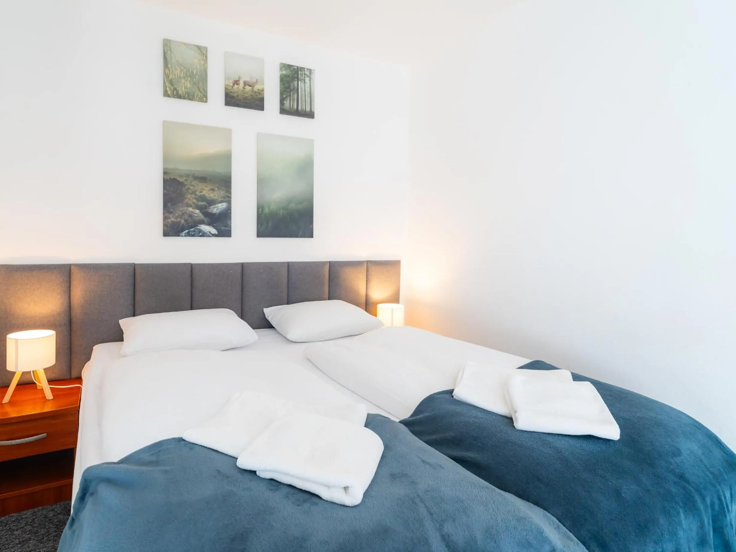 Bed in OW Sudety