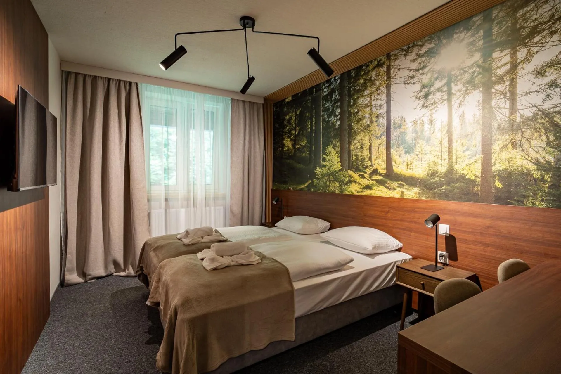 Bed in OW Sudety