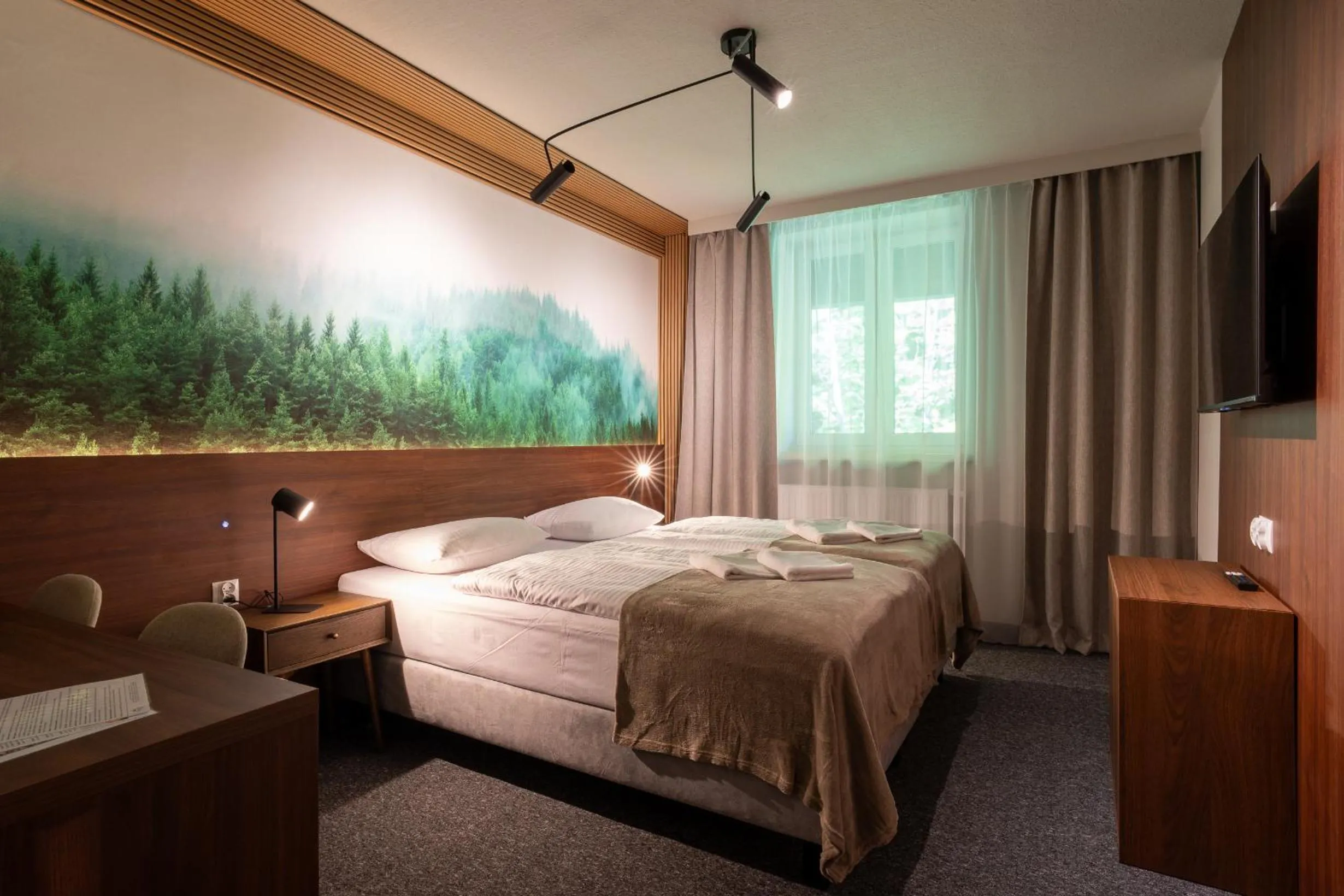 Bed in OW Sudety