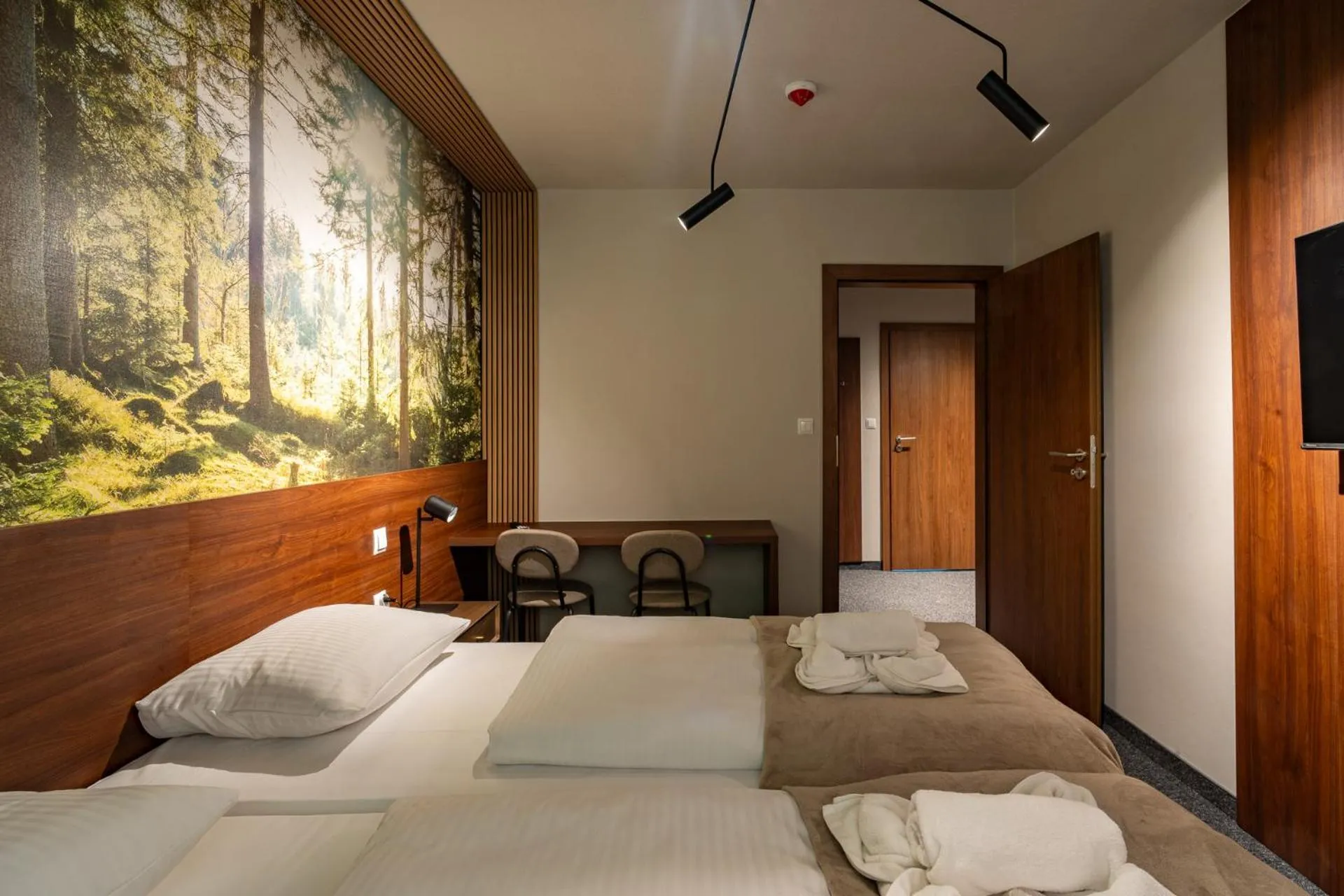 Bed in OW Sudety