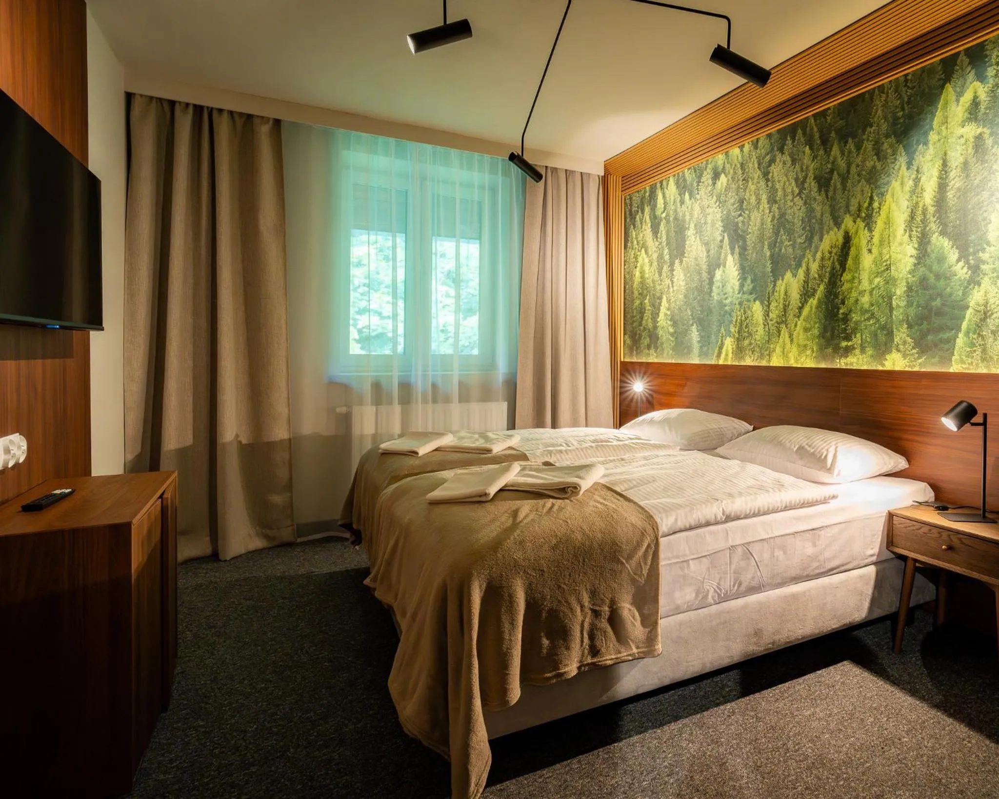 Bed in OW Sudety