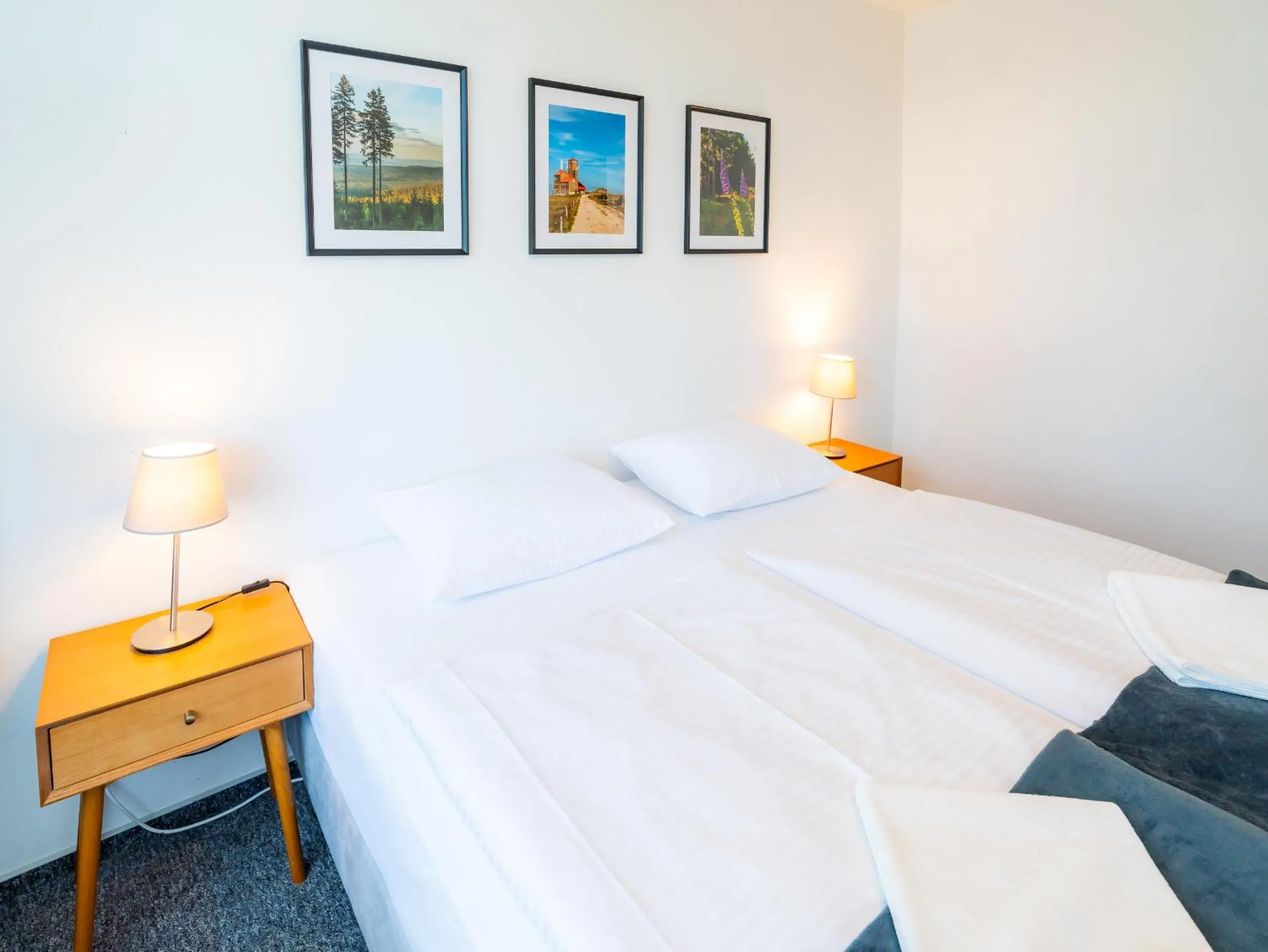 Bed in OW Sudety