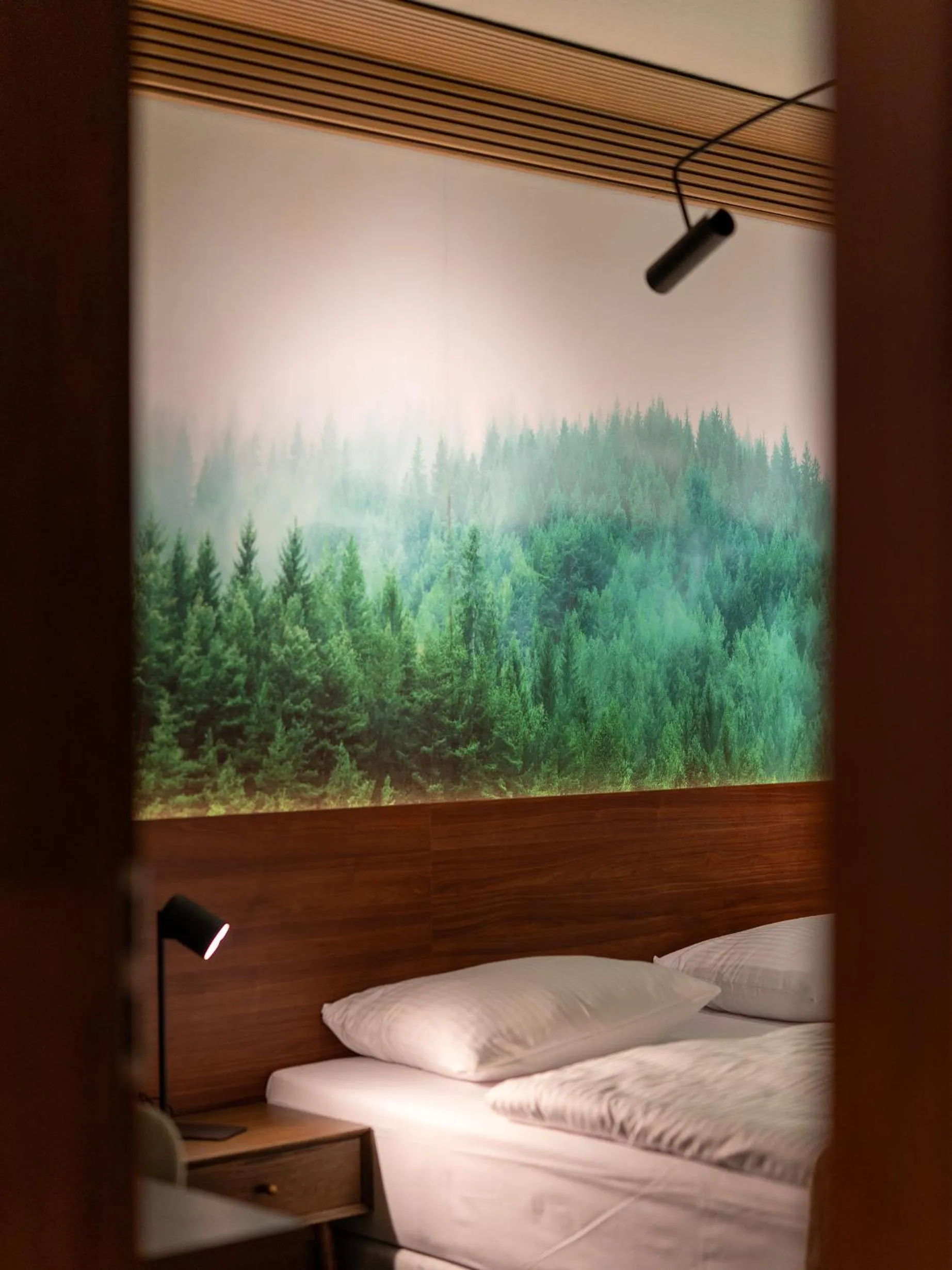 Bed in OW Sudety