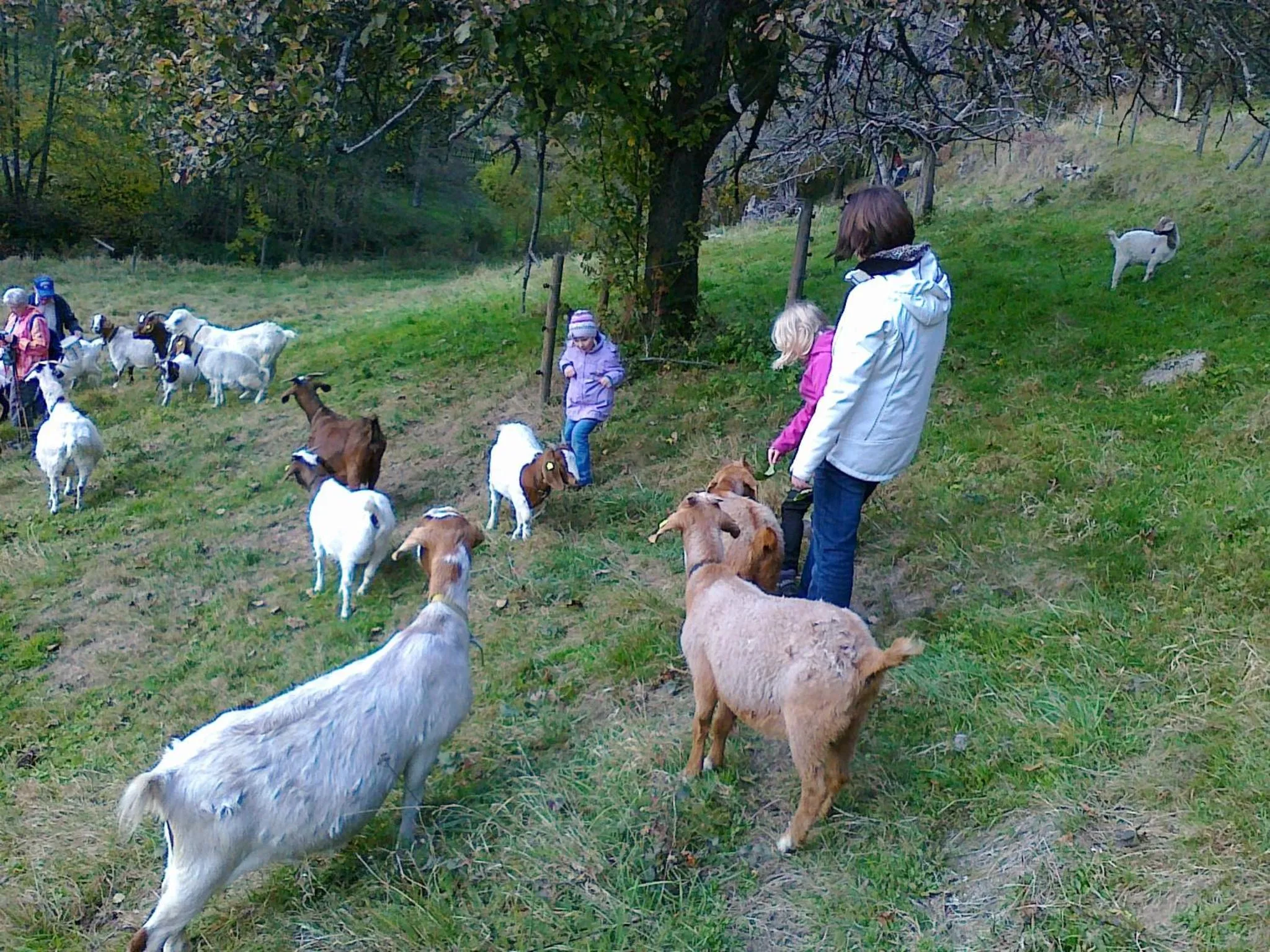 Area and facilities in Hotel Kull von Schmidsfelden