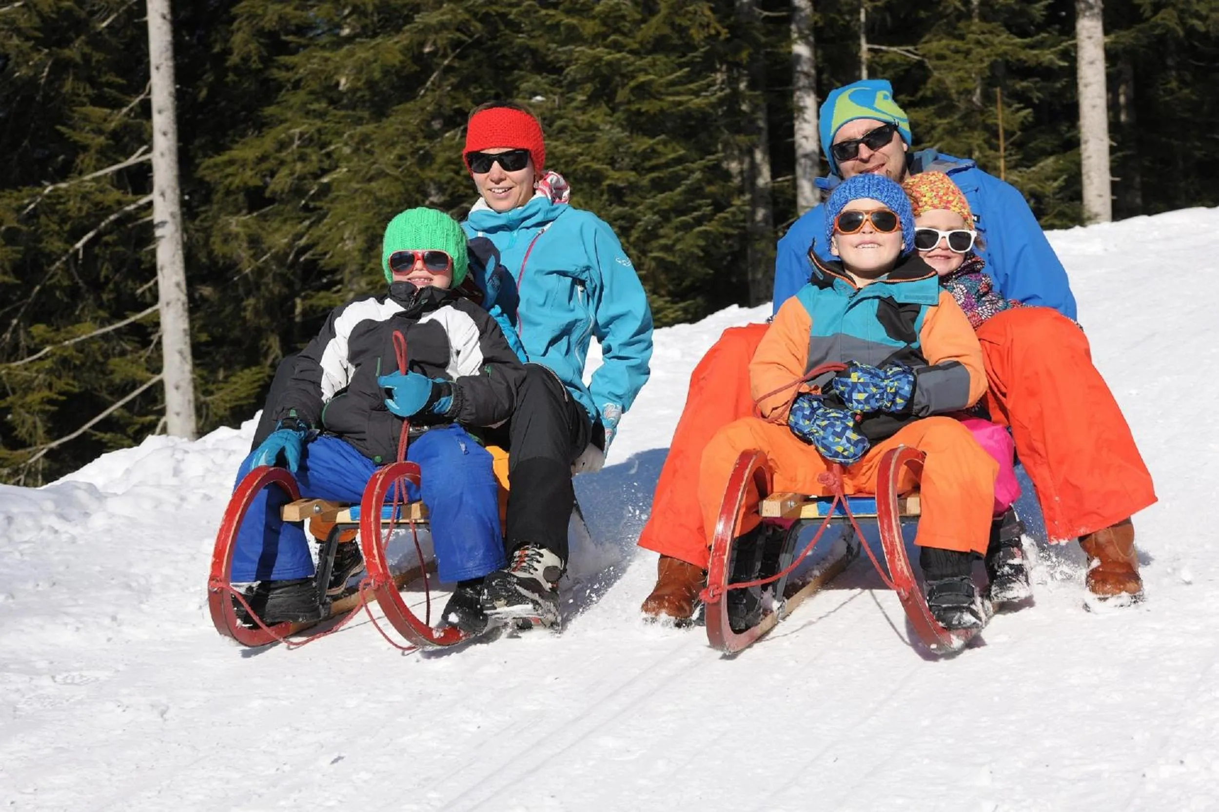 Activities in Hotel Garni Alpenland