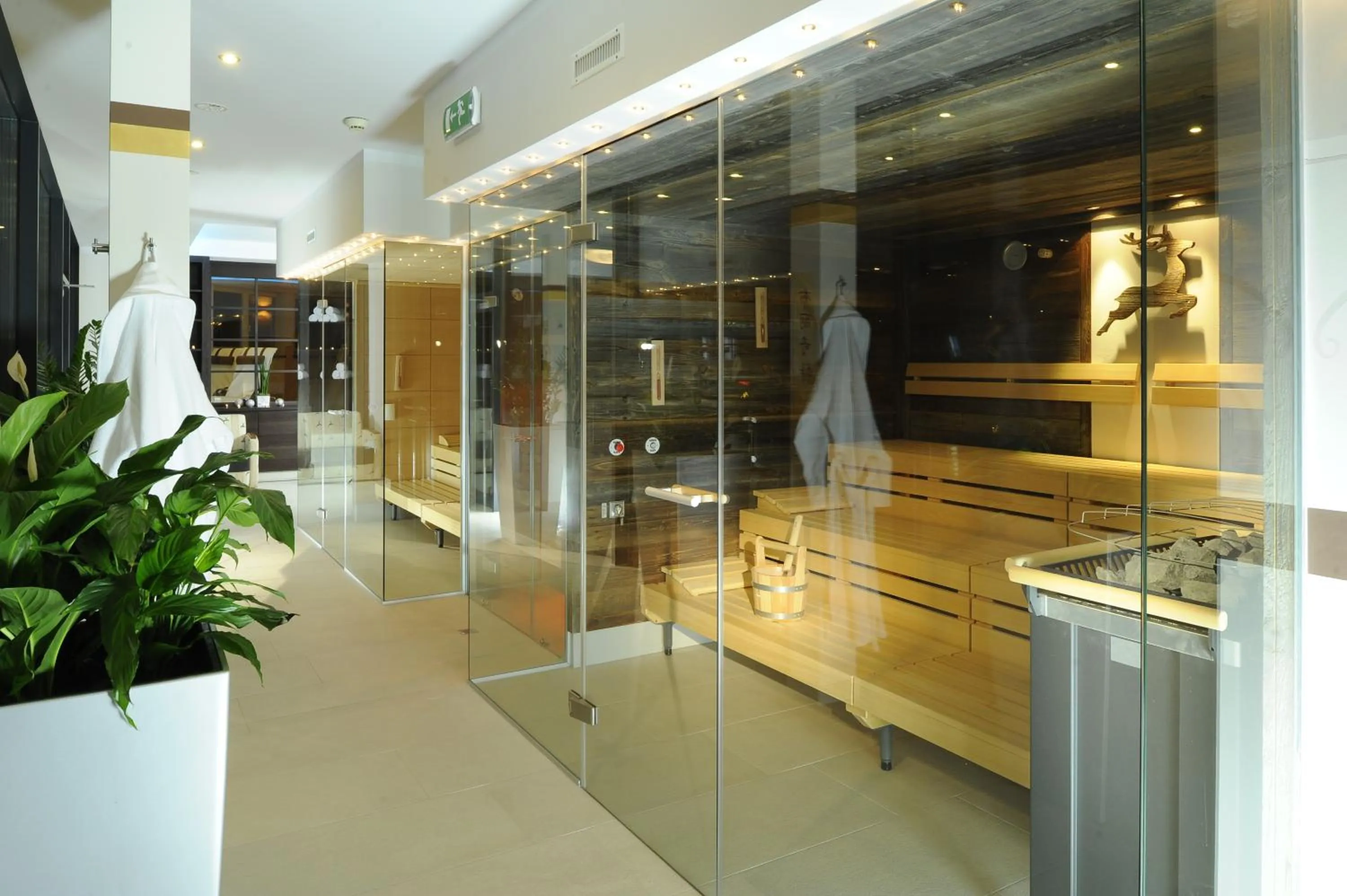 Spa and wellness centre/facilities in Hotel Alpina