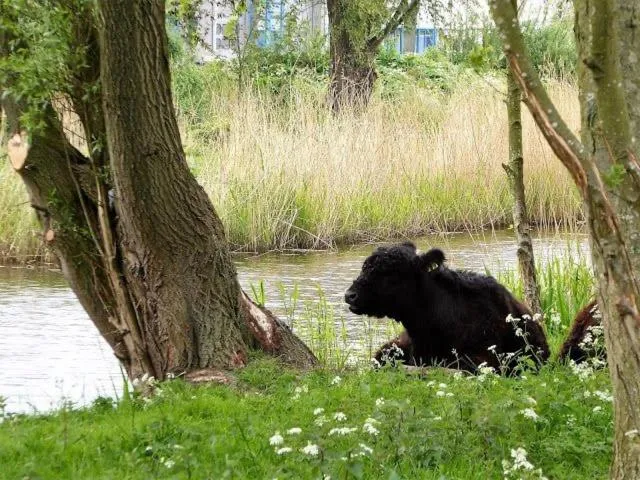 Neighbourhood in Boutique Hotel - de Stadsherberg Alphen