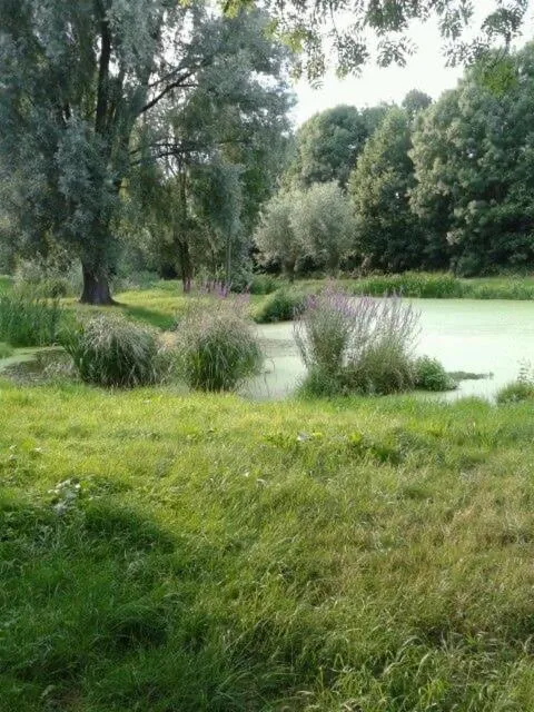 Natural landscape in Boutique Hotel - de Stadsherberg Alphen