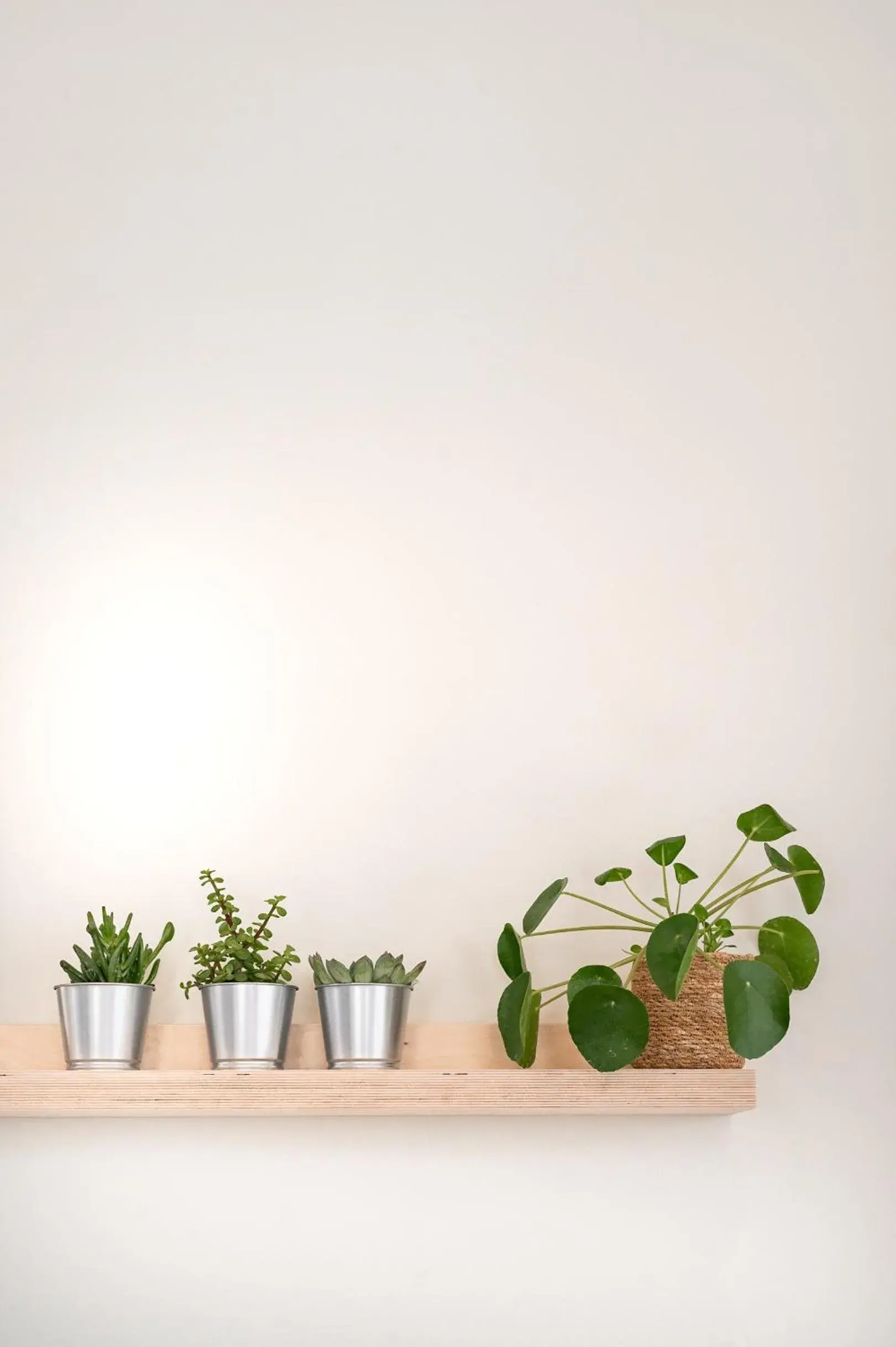 Property building in Boutique Hotel - de Stadsherberg Alphen Property building in Boutique Hotel - de Stadsherberg Alphen