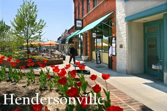 Other in Mountain Inn & Suites Flat Rock