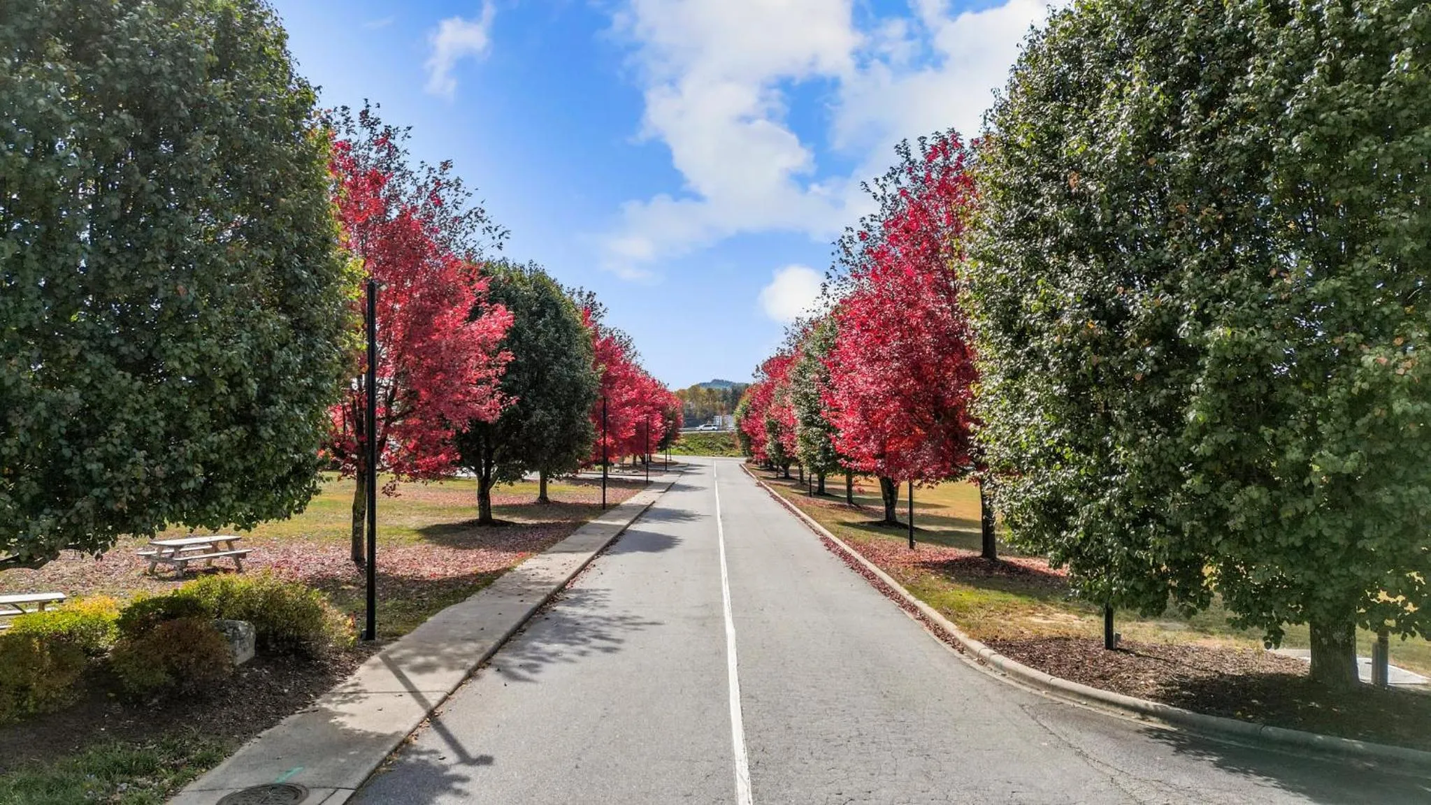 Natural landscape in Mountain Inn & Suites Flat Rock