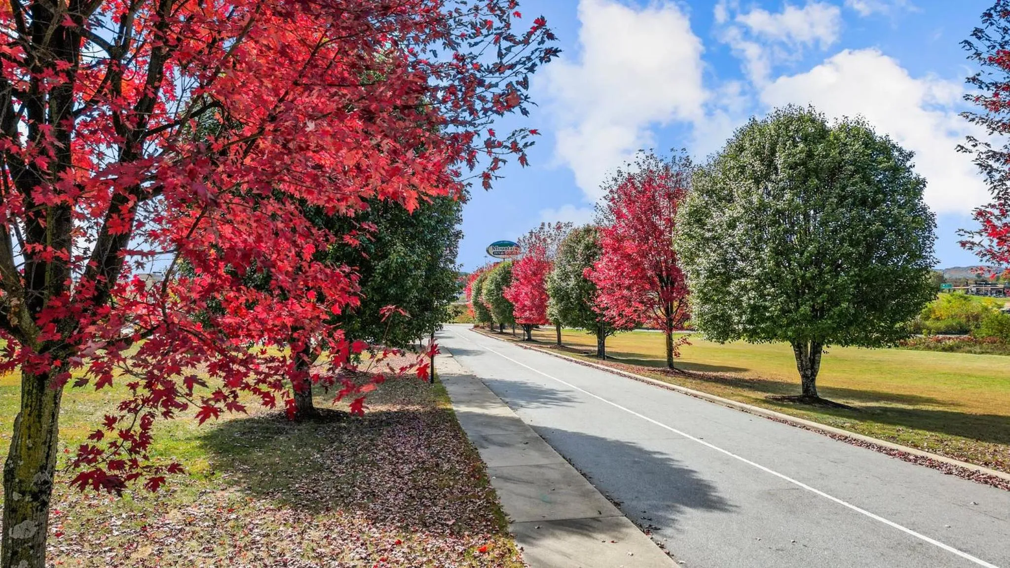Mountain Inn & Suites Flat Rock