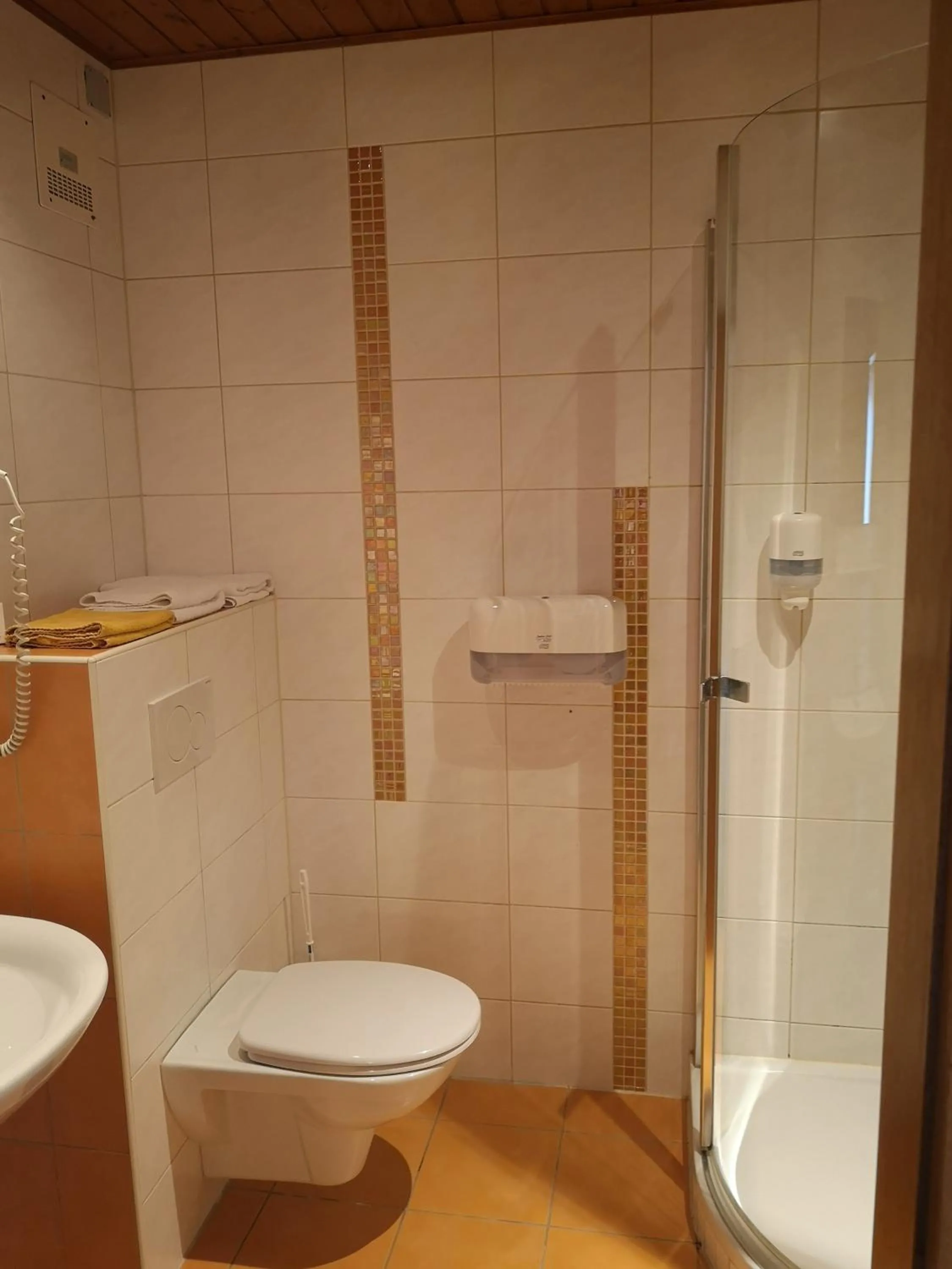 Single Room with Balcony - single occupancy in Hotel Wirt Z'Minsta