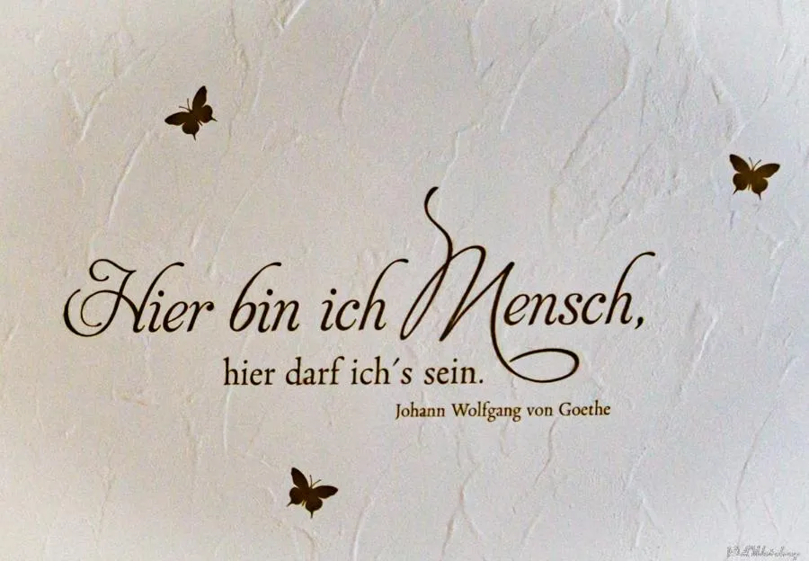 Property building in Hotel Sonne - Das kleine Altstadt Hotel