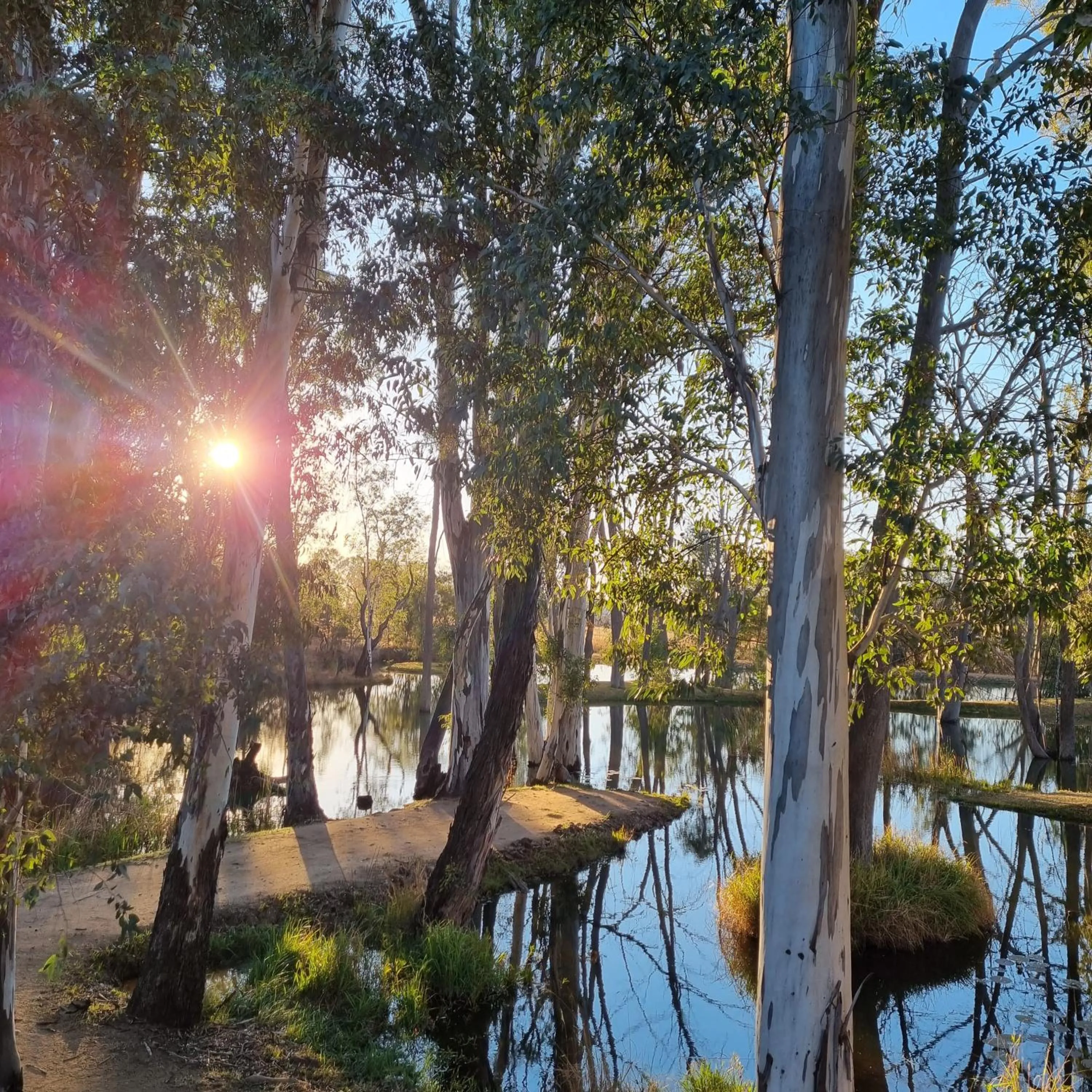 Natural landscape in Bass Lake Country Lodge