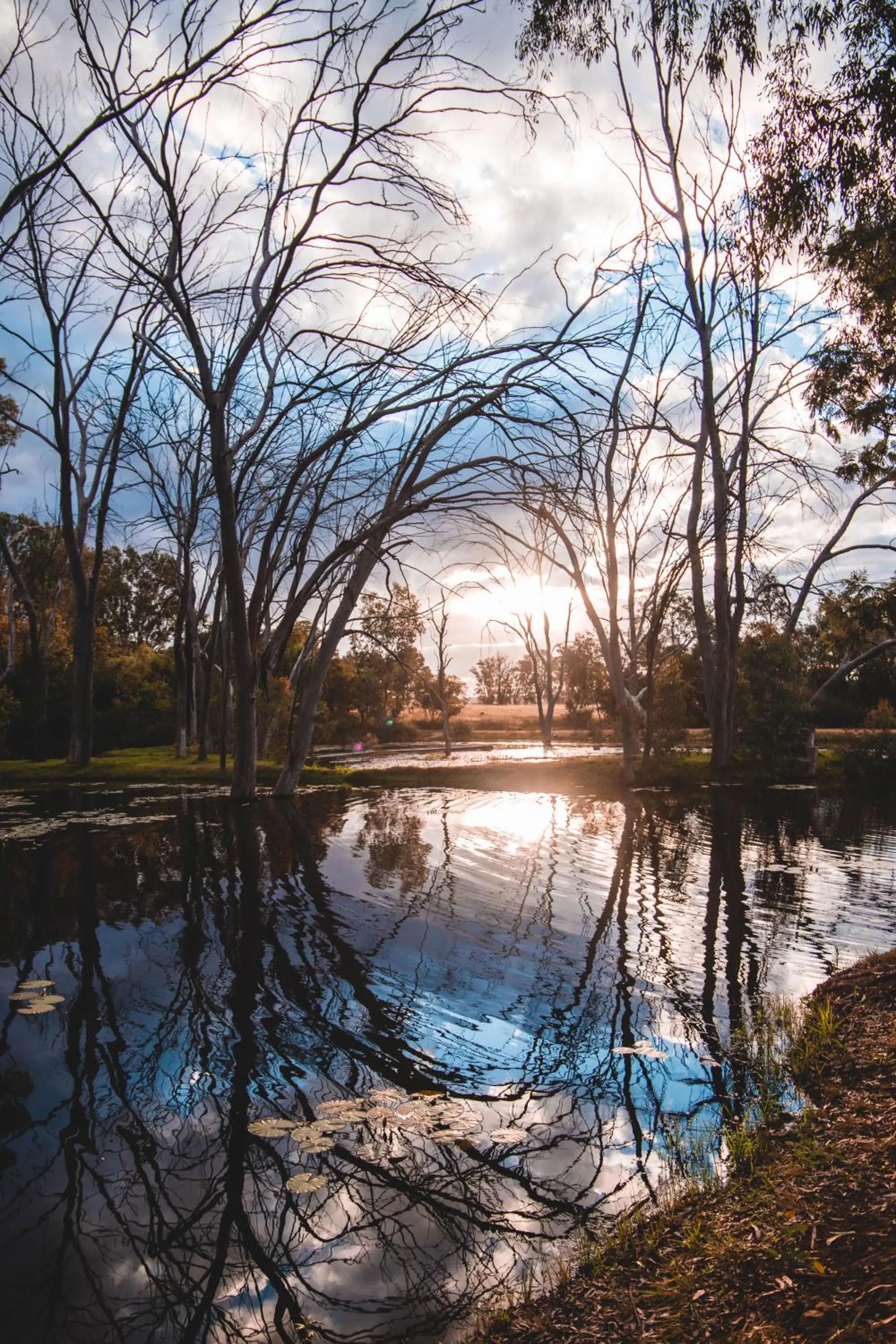 Natural landscape in Bass Lake Country Lodge