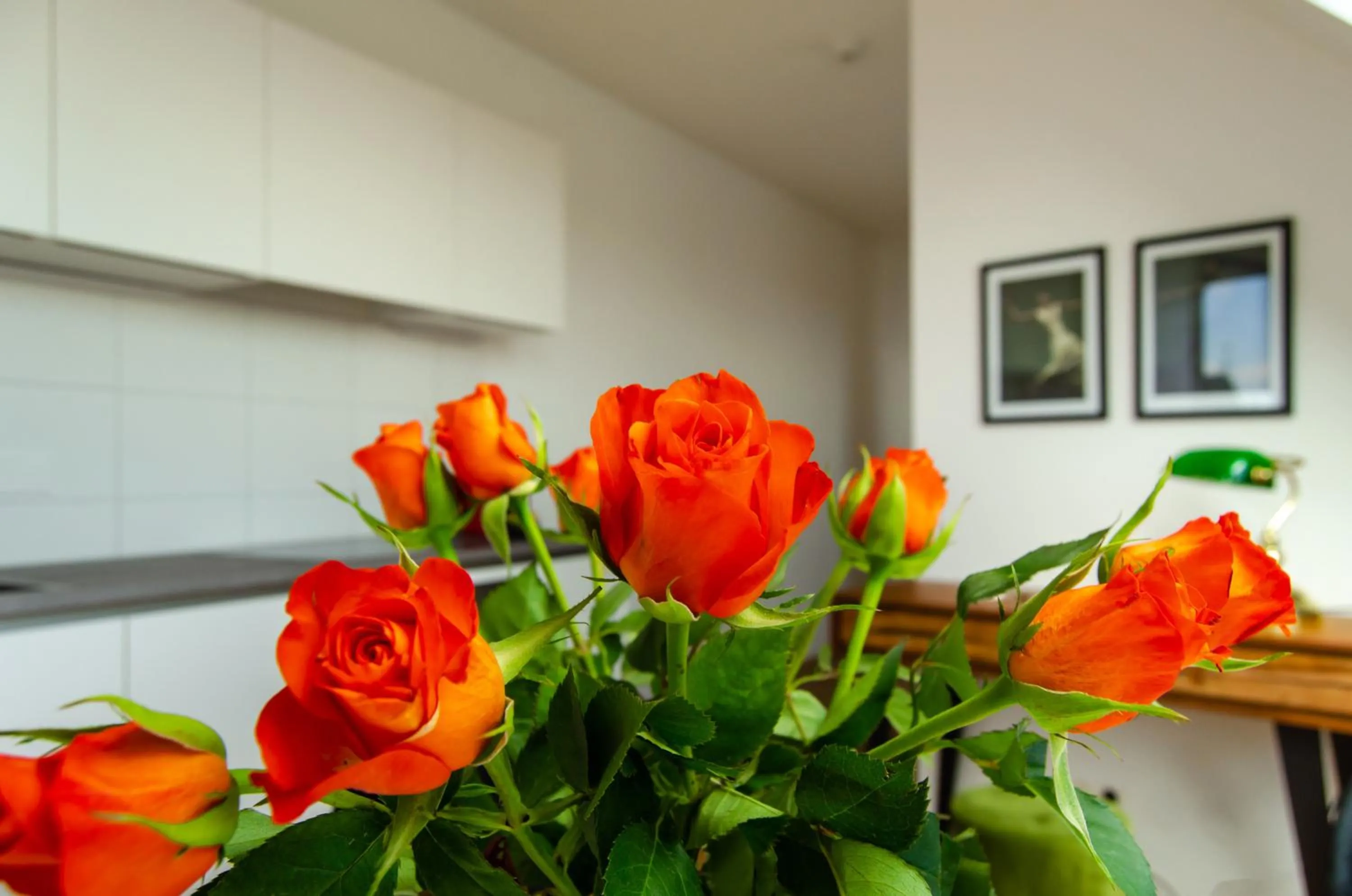 Kitchen or kitchenette in Grand Quarters City Residence