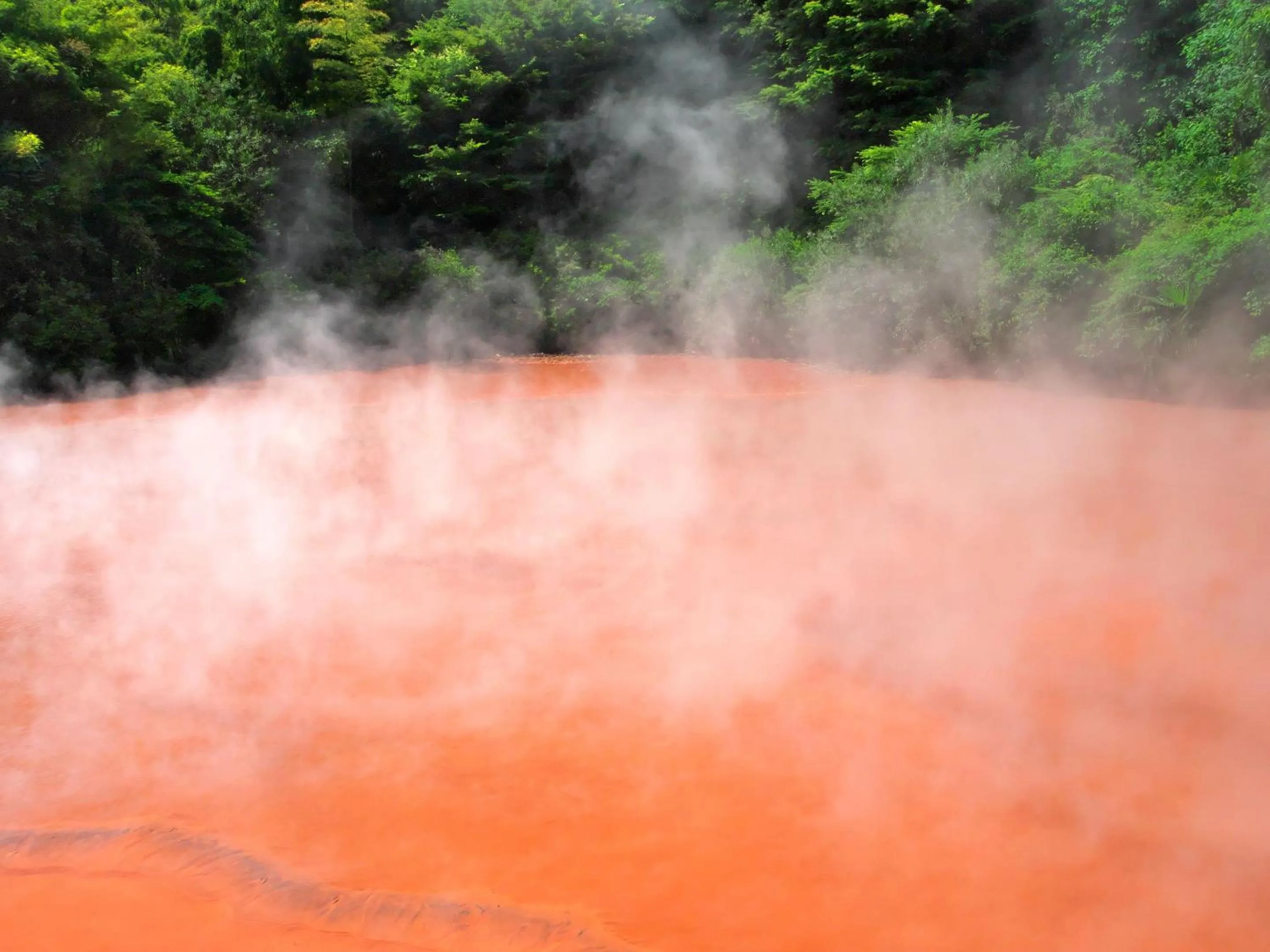 Nearby landmark in Ooedo Onsen Monogatari Premium Hotel Fugetsu