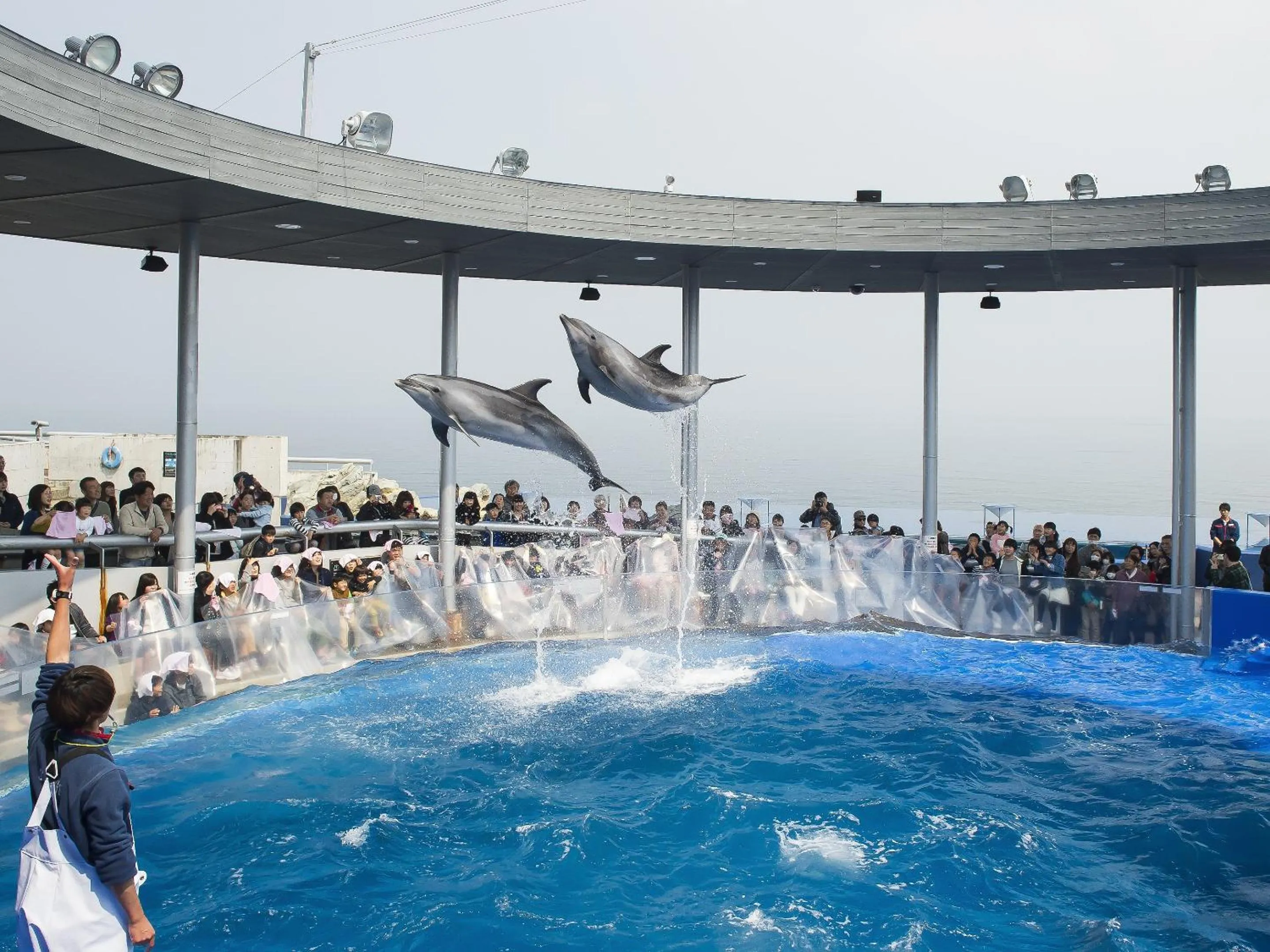Nearby landmark in Ooedo Onsen Monogatari Premium Hotel Fugetsu
