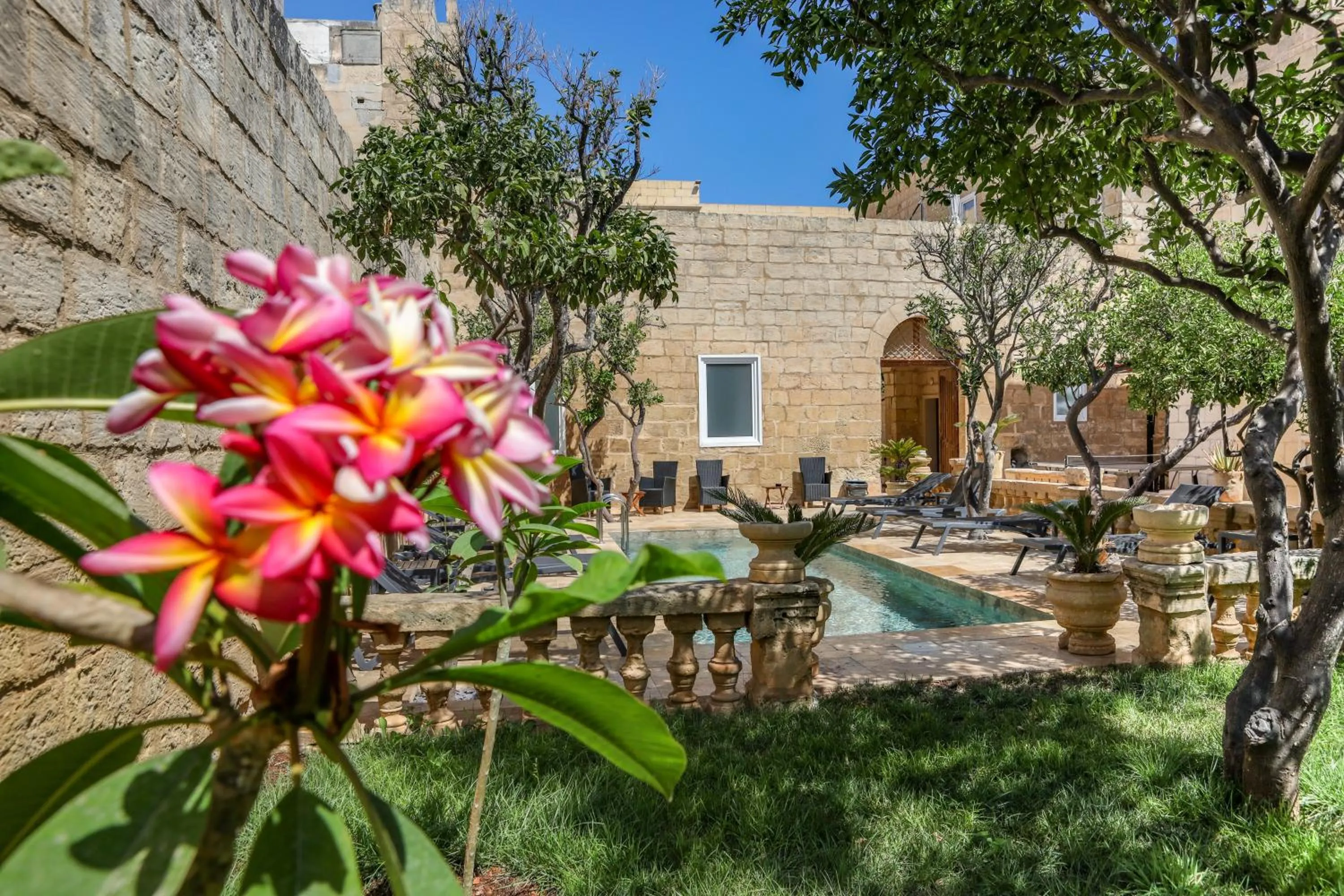Garden view in Palazzo Pisani Malta Boutique and SPA