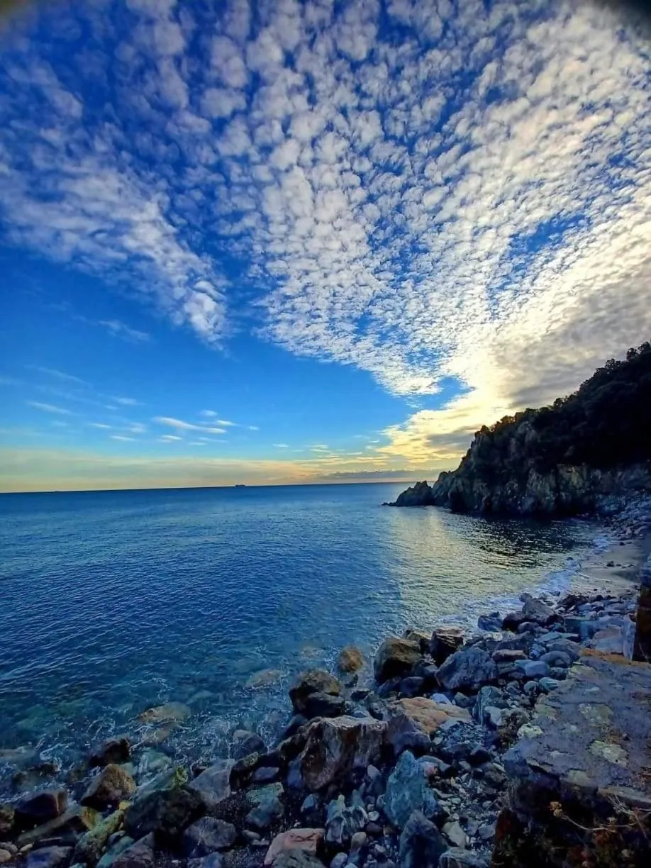 Natural landscape in Hotel Aurora