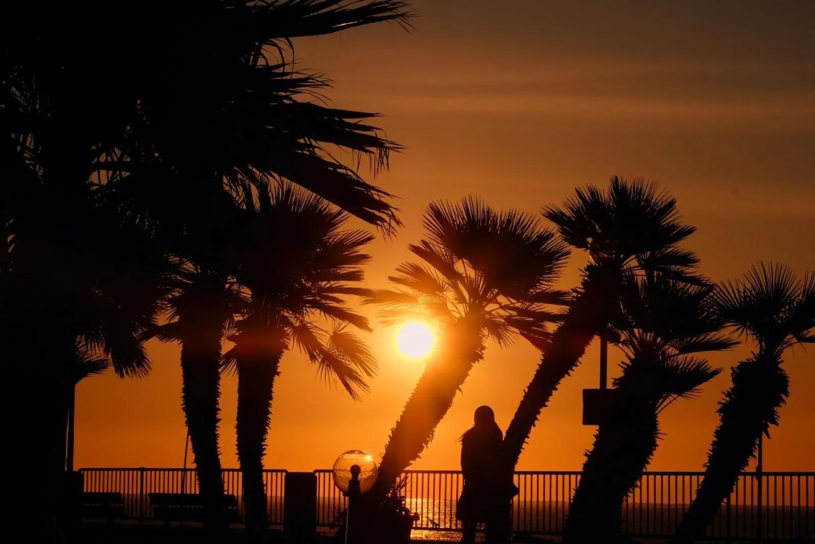 Natural landscape in Hotel Aurora