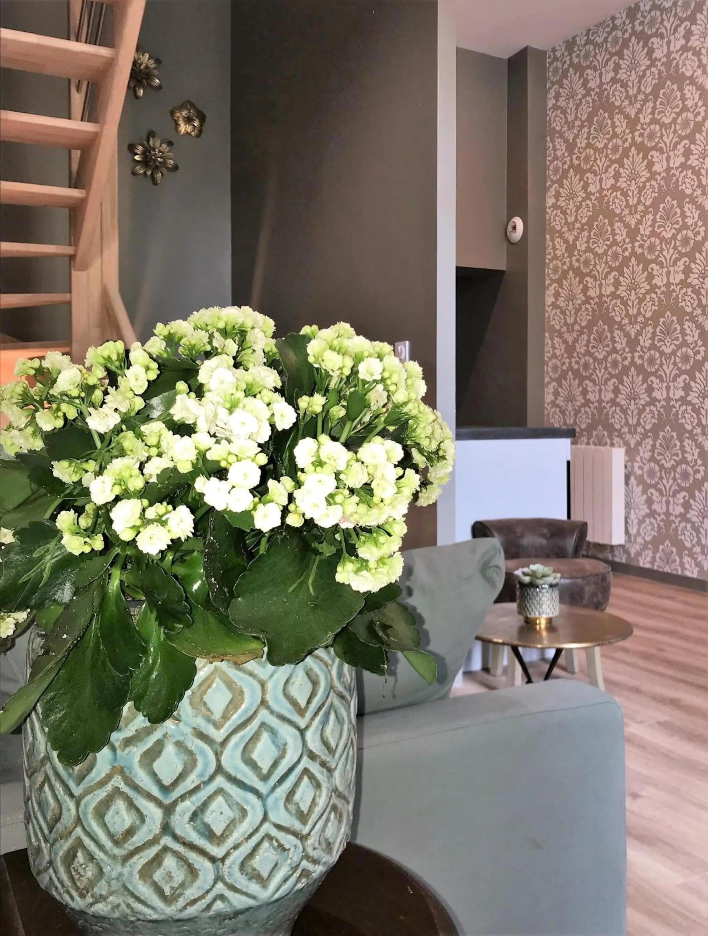 Living room in Perlépampille