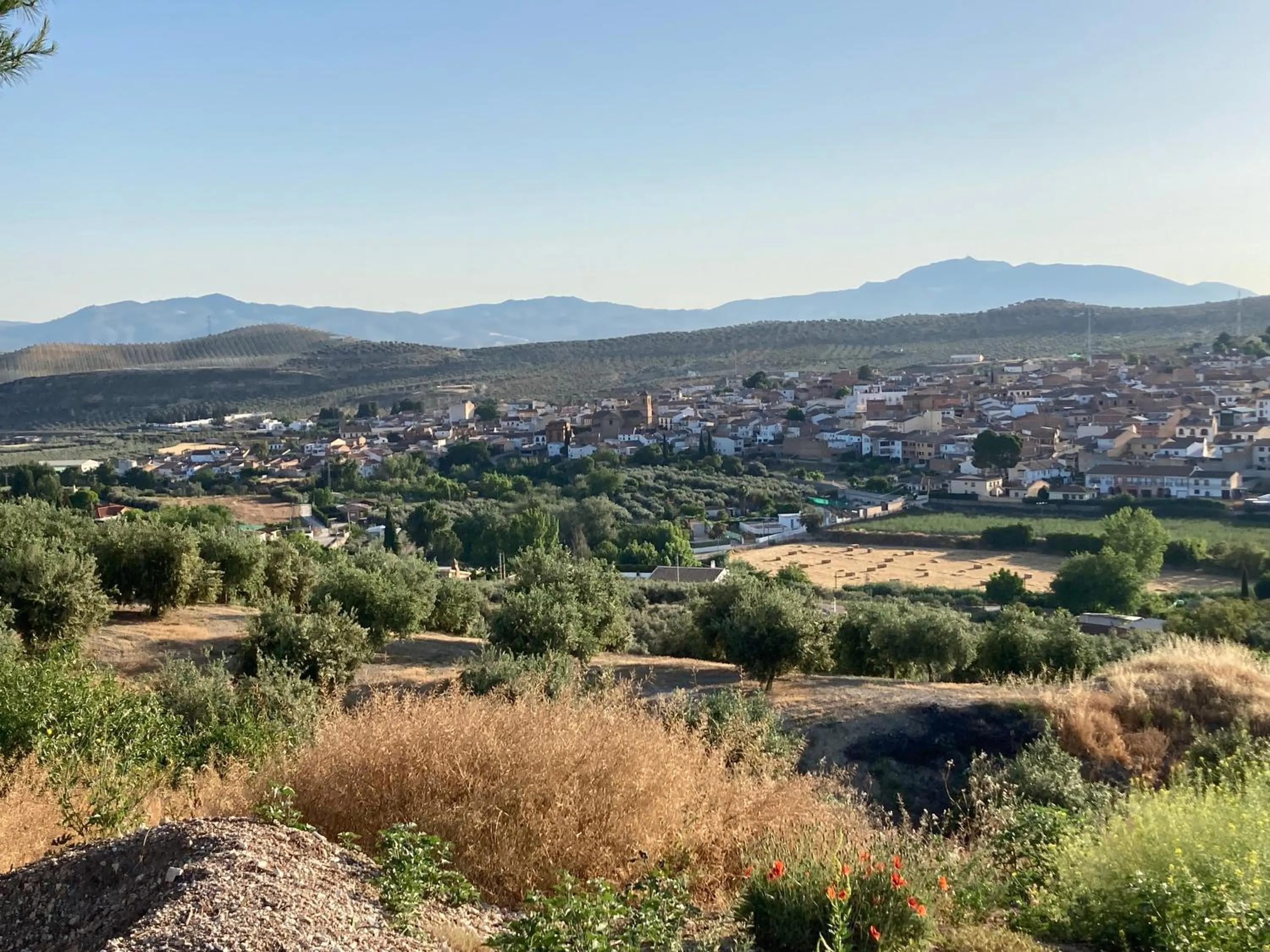Natural landscape in Casa Alice Salar