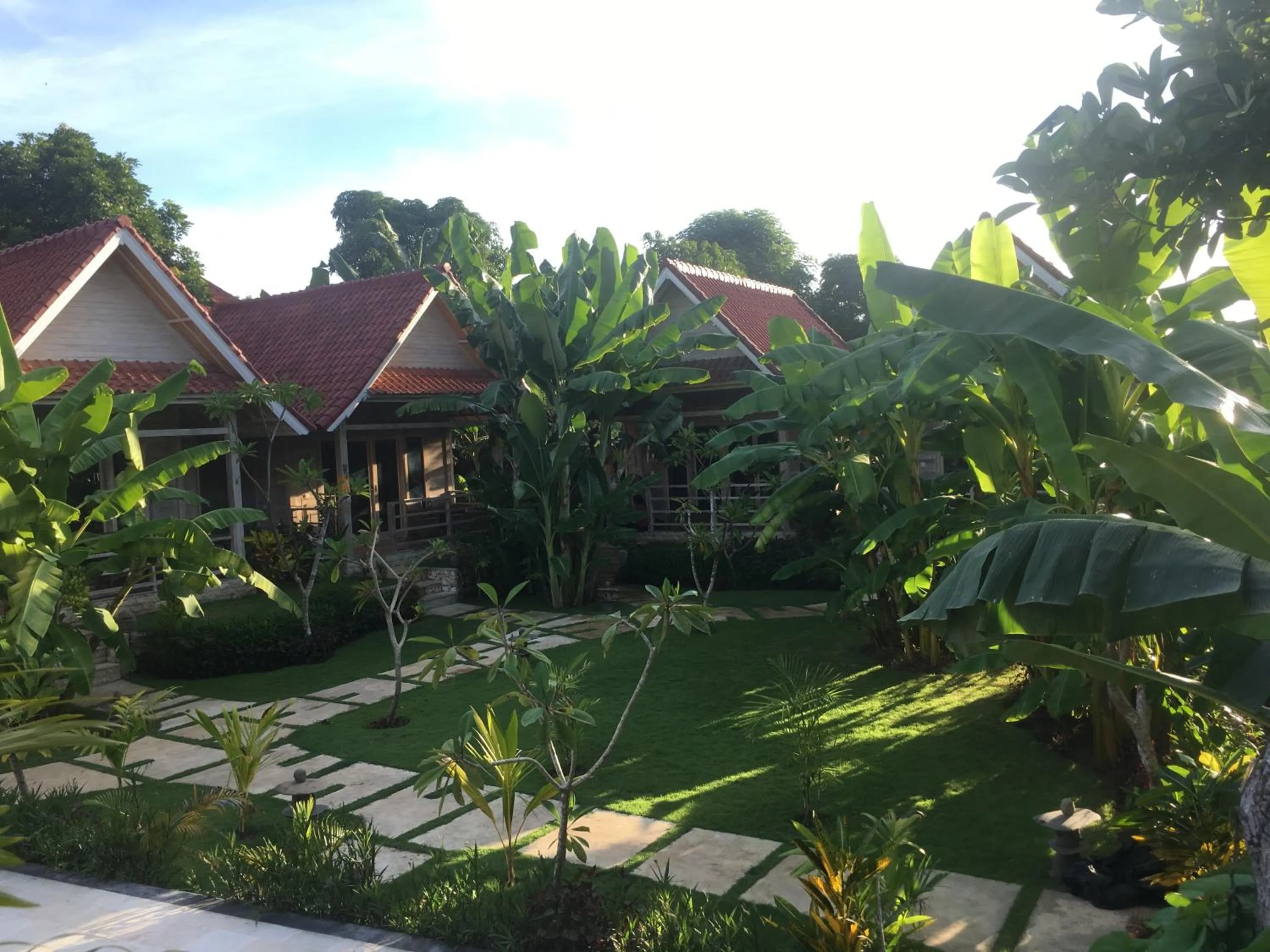 Garden view in Le Biu garden View