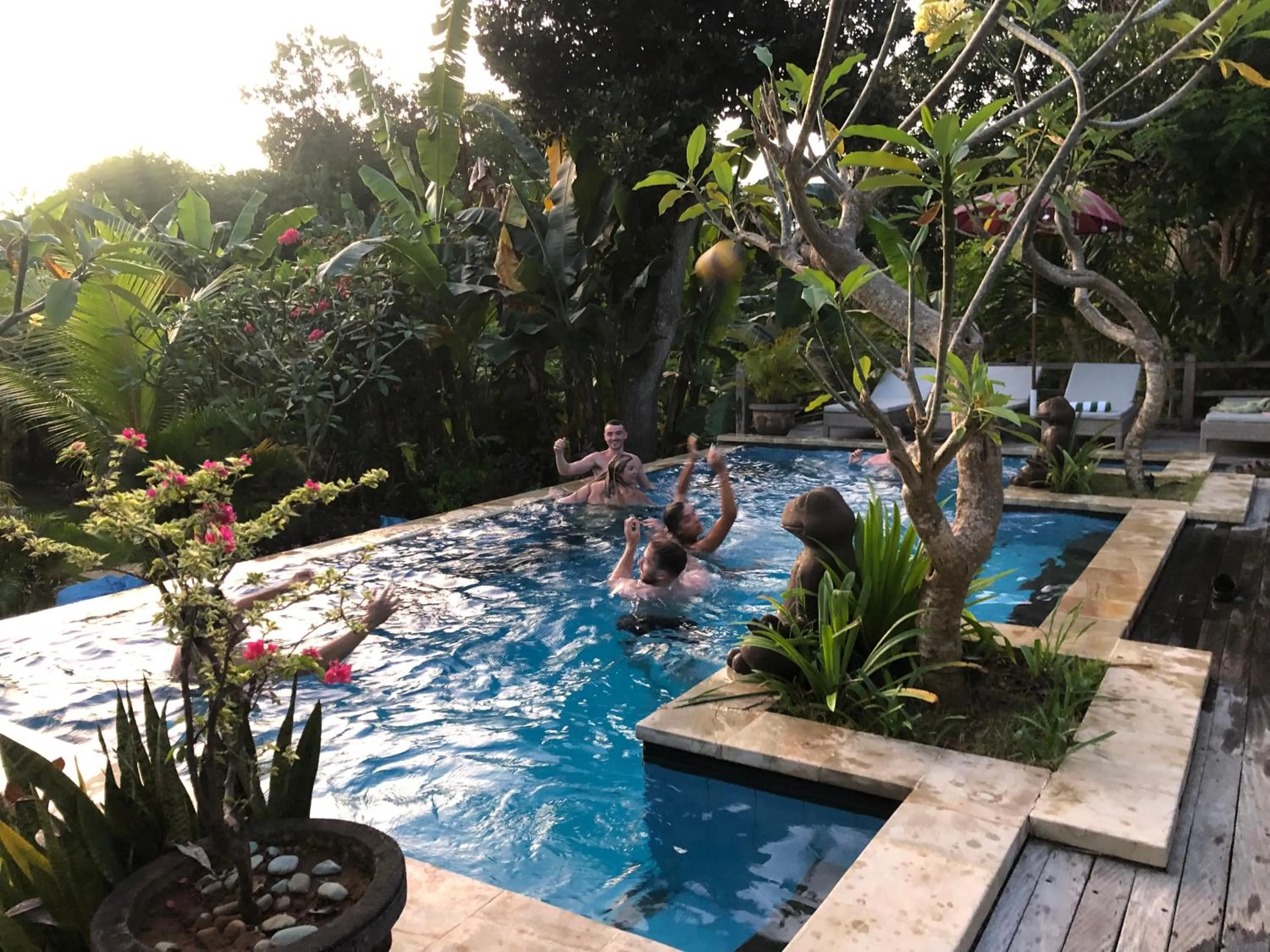 Pool view in Le Biu garden View