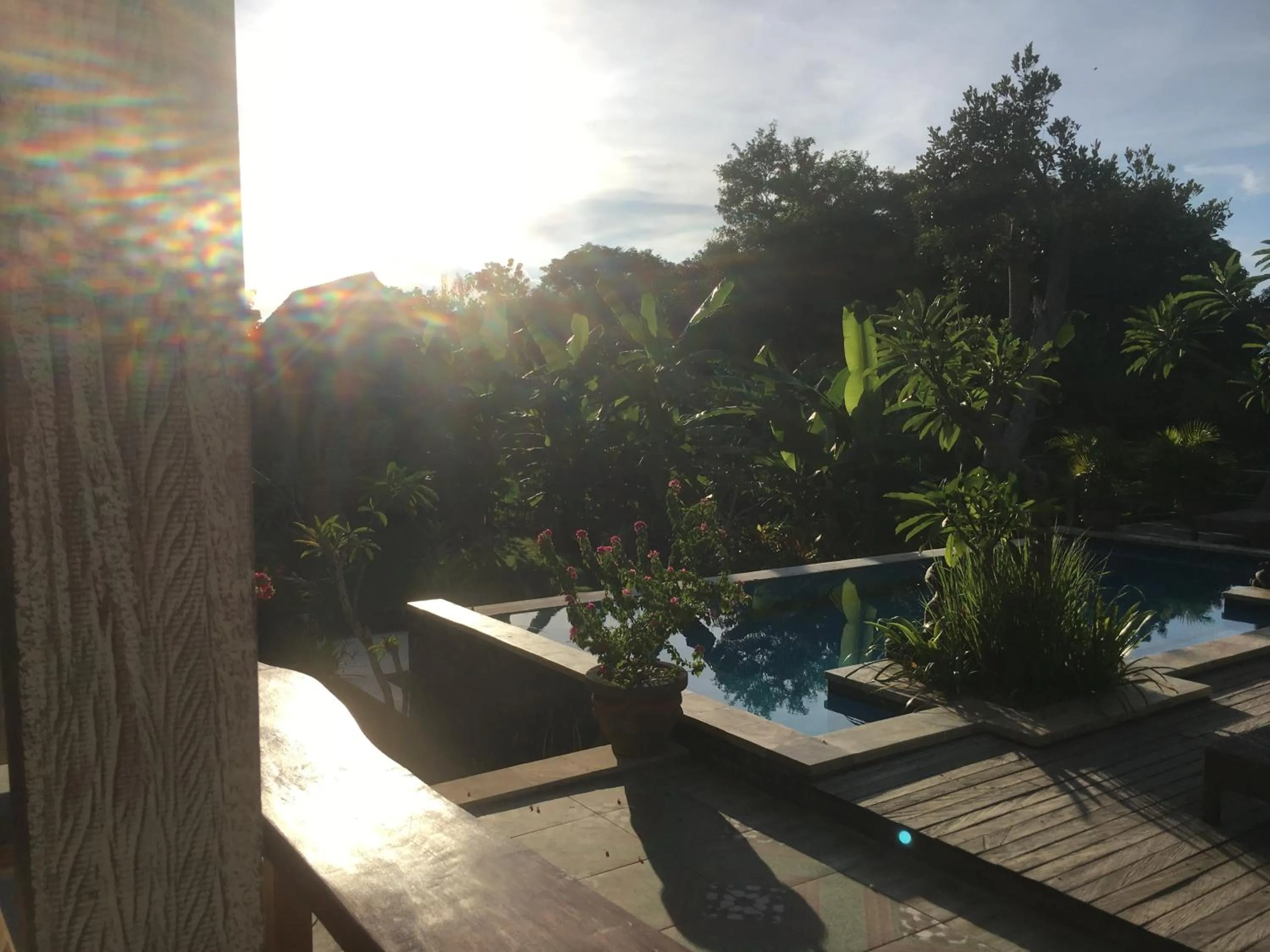 Pool view in Le Biu garden View