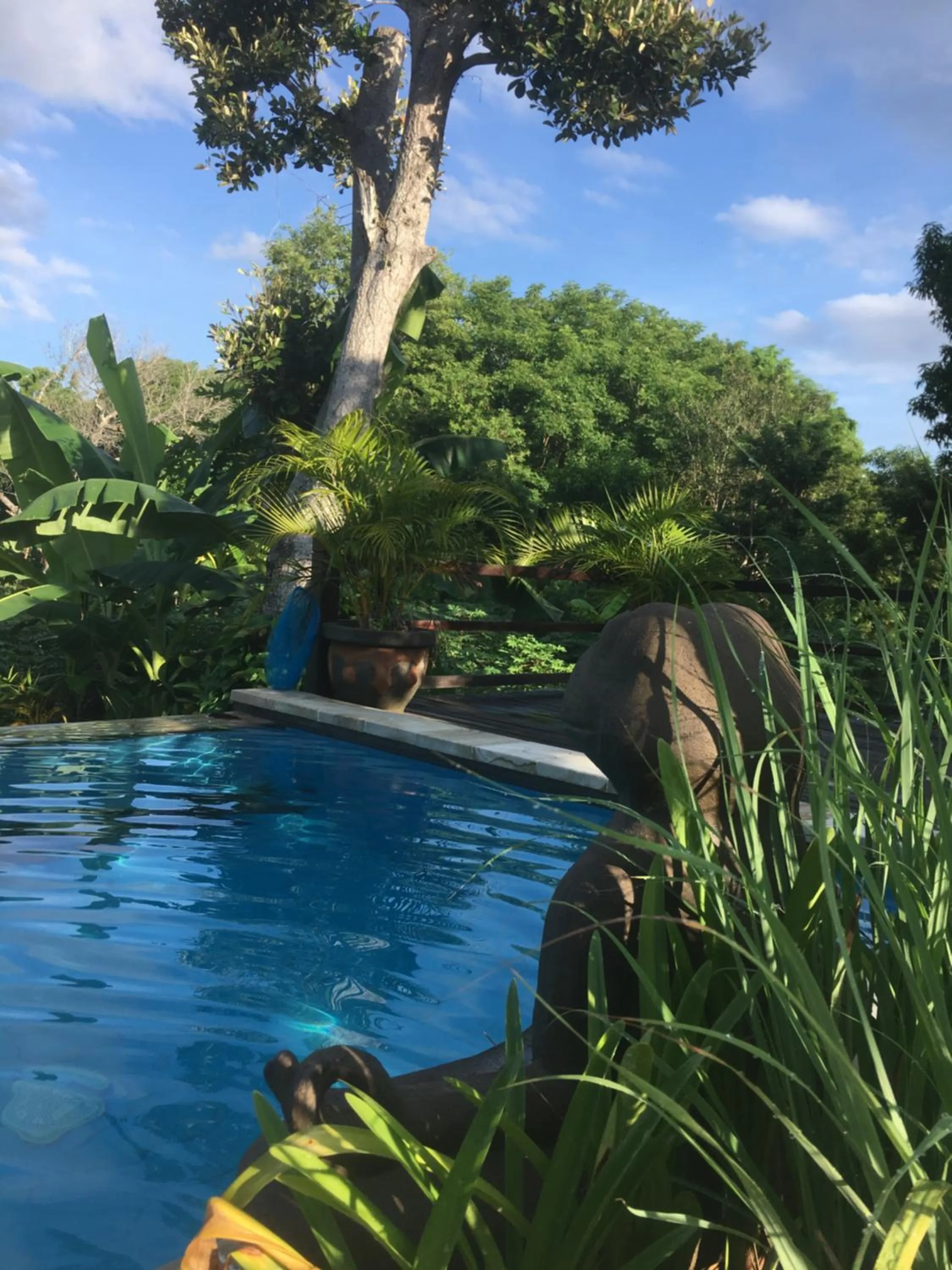 Swimming pool in Le Biu garden View