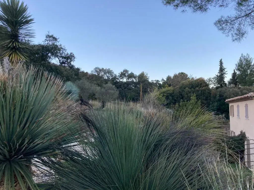 Property building in BASTIDE DE RAMATUELLE Property building in BASTIDE DE RAMATUELLE