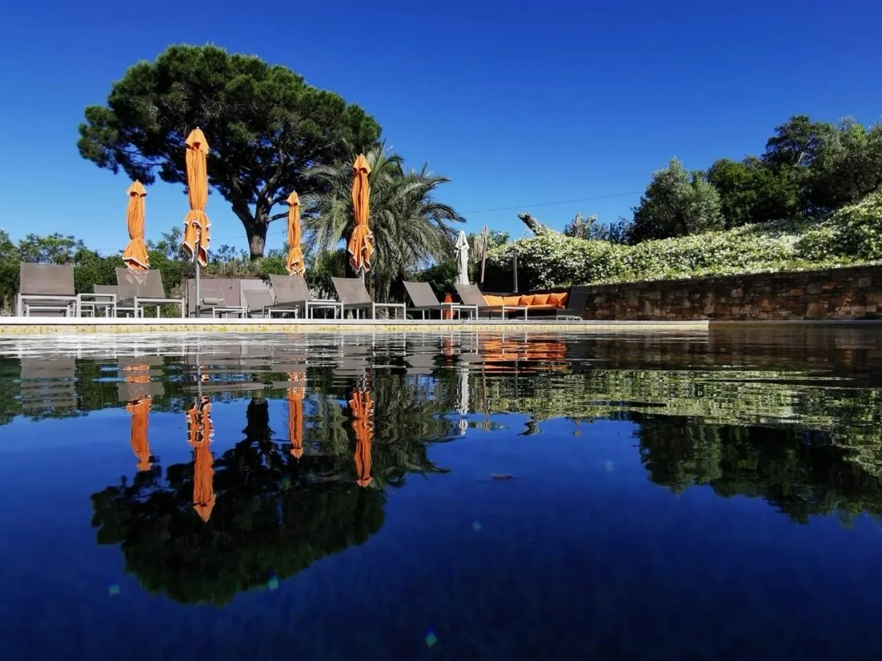Other in BASTIDE DE RAMATUELLE