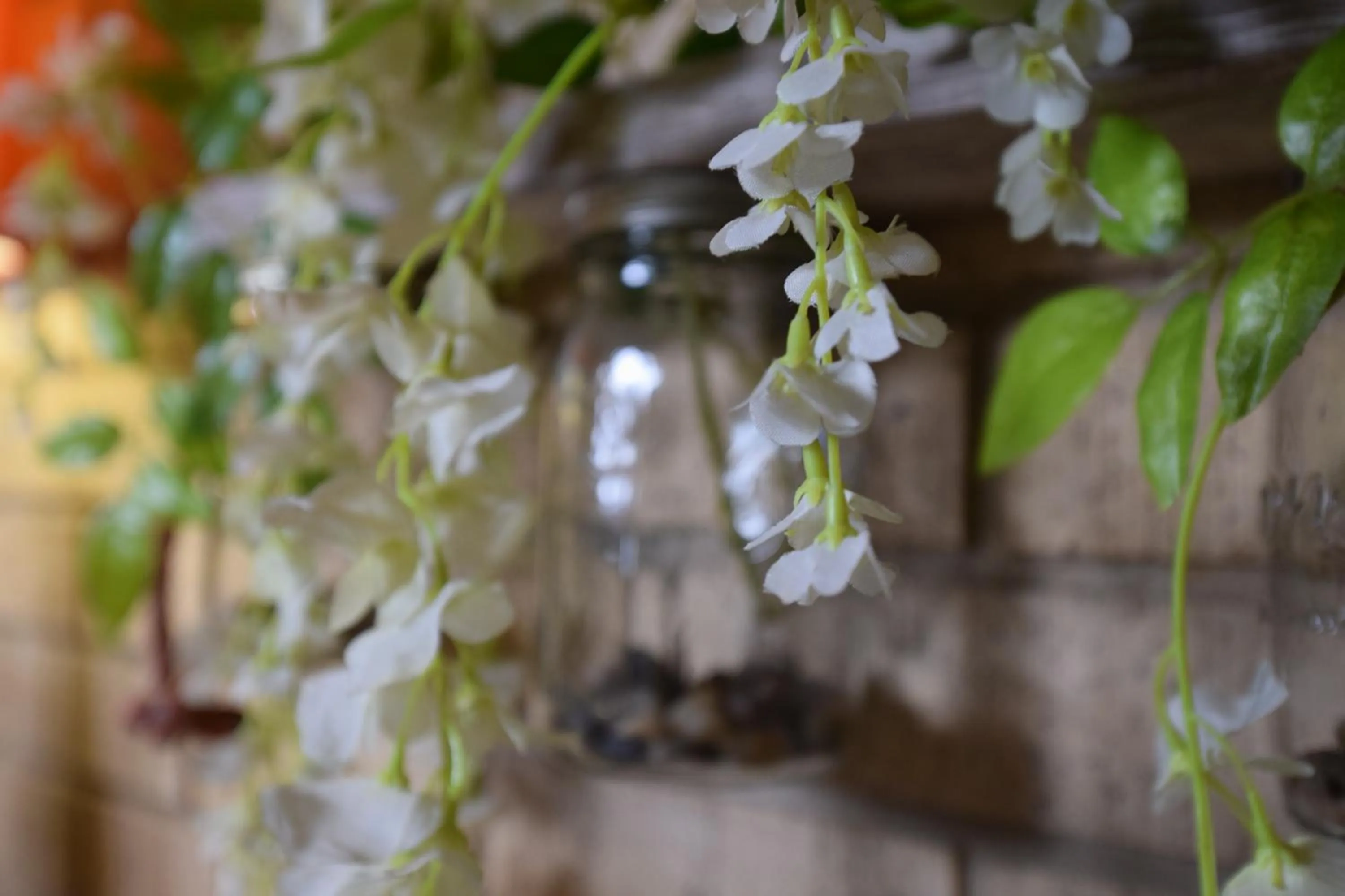 Garden in Thabong Bed and Breakfast
