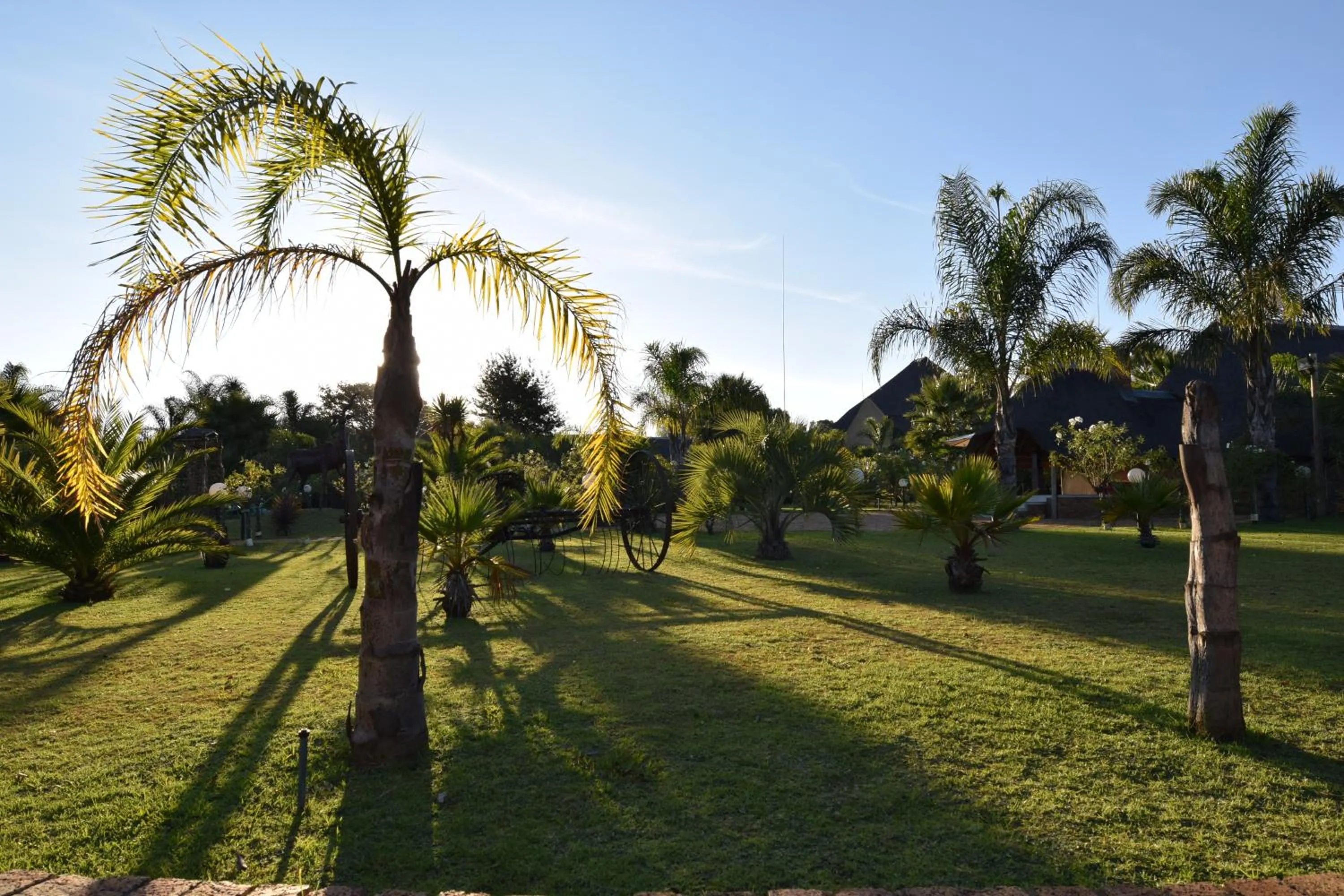 Garden in Thabong Bed and Breakfast