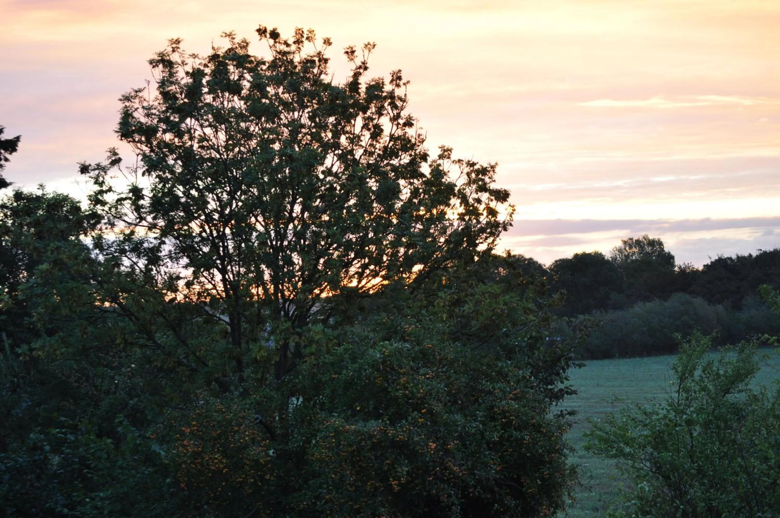 Garden in Bed & Kitchen „Den gamle Skole“ Nr. Sejerslev