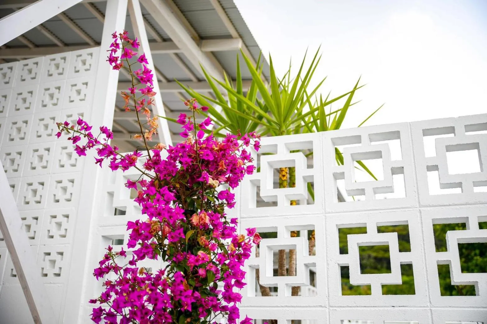 Garden view in SHIRAHAMA BEACH GARDEN