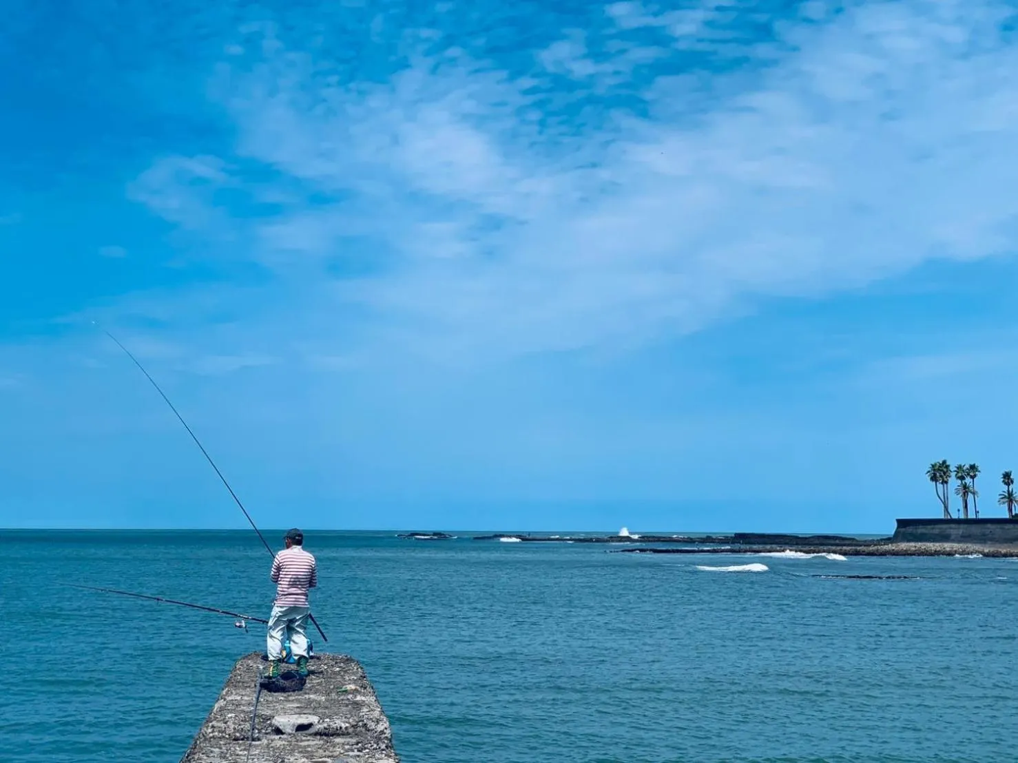 Natural landscape in SHIRAHAMA BEACH GARDEN