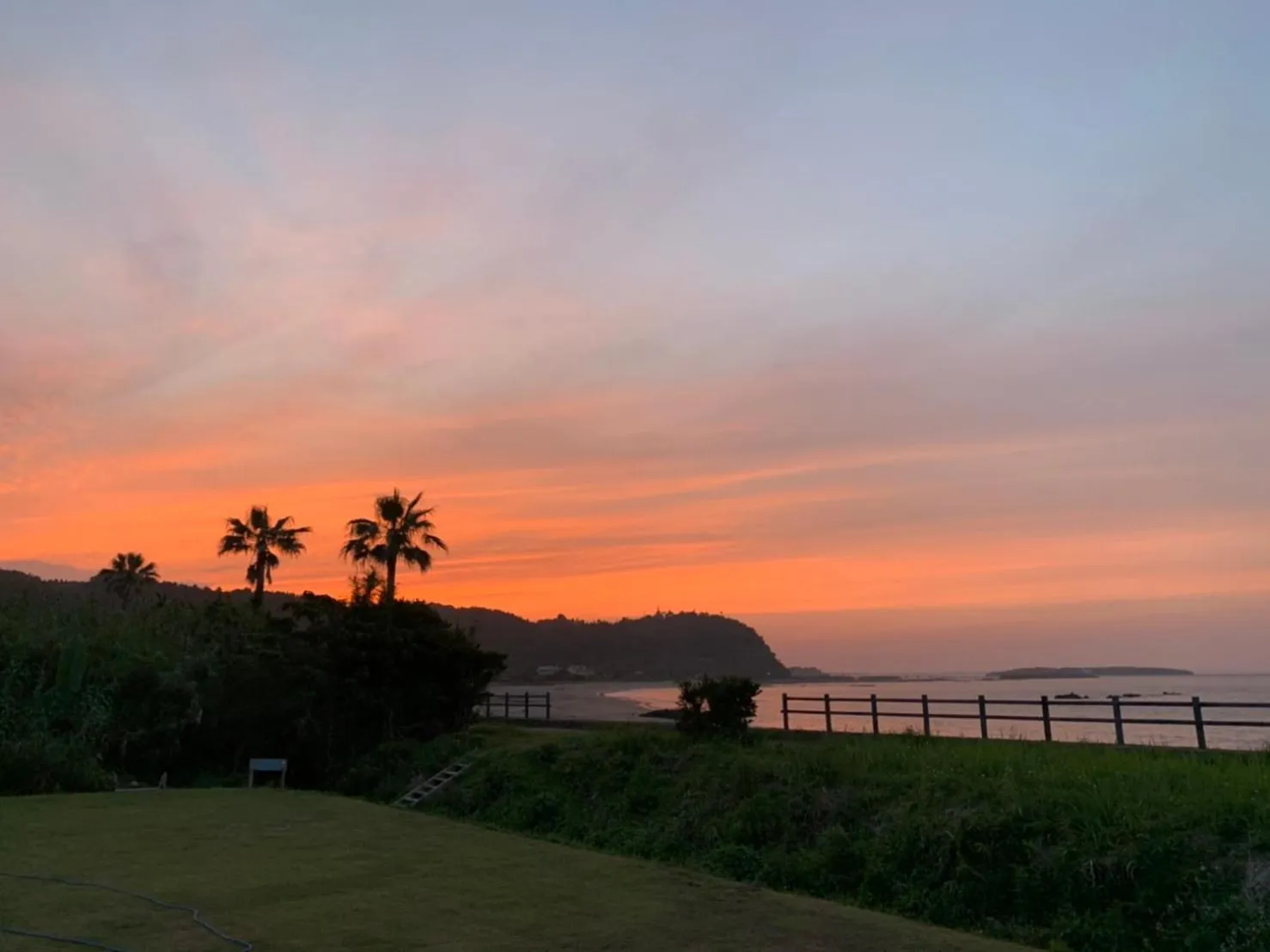 Natural landscape in SHIRAHAMA BEACH GARDEN