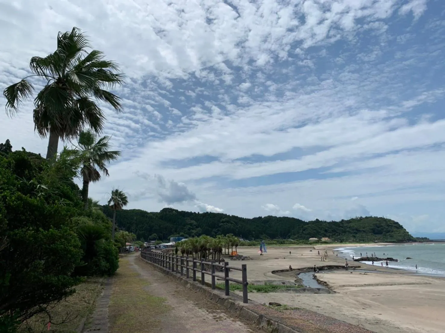 Natural landscape in SHIRAHAMA BEACH GARDEN
