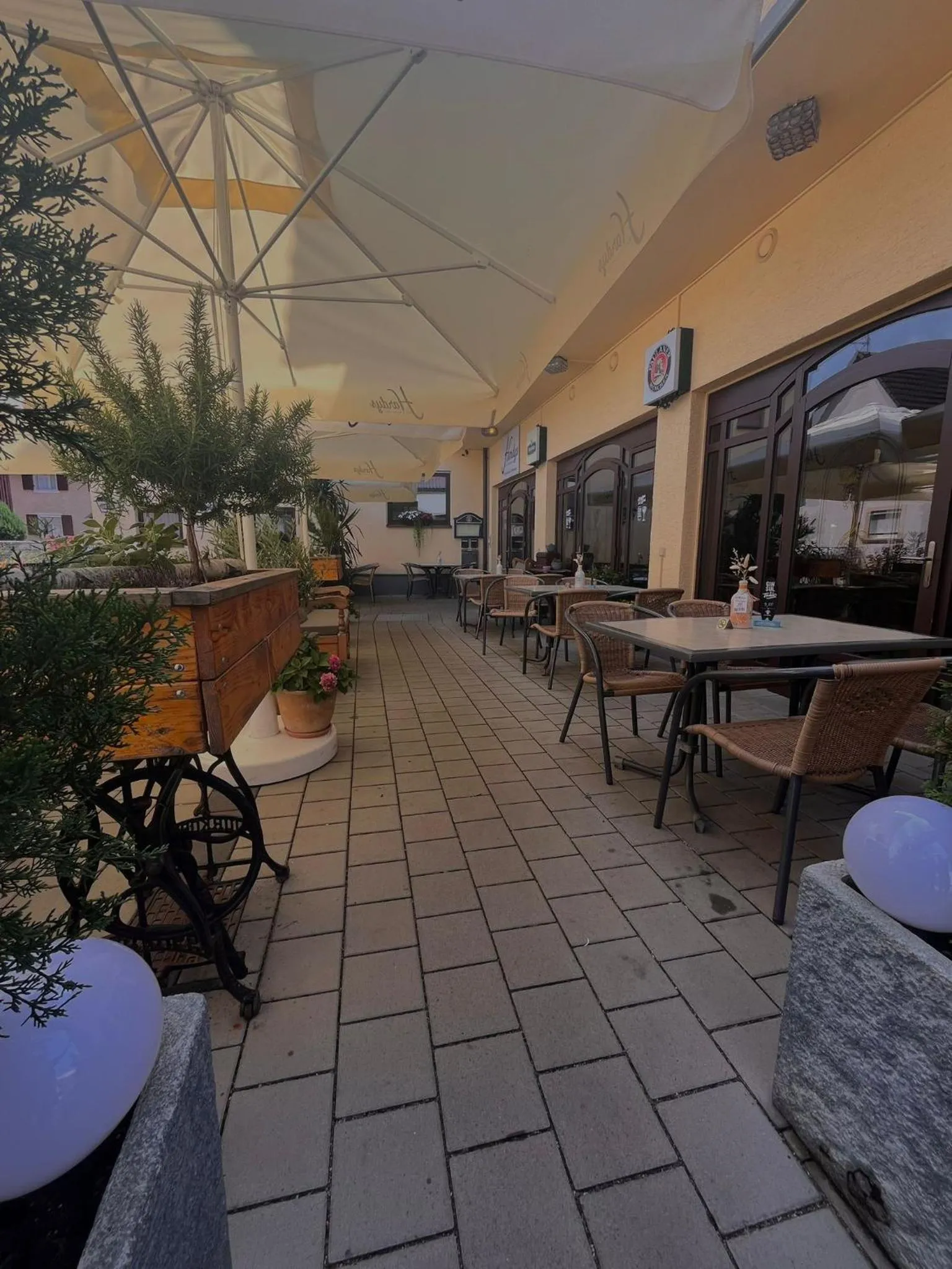 Restaurant/places to eat in Hotel Rebstock