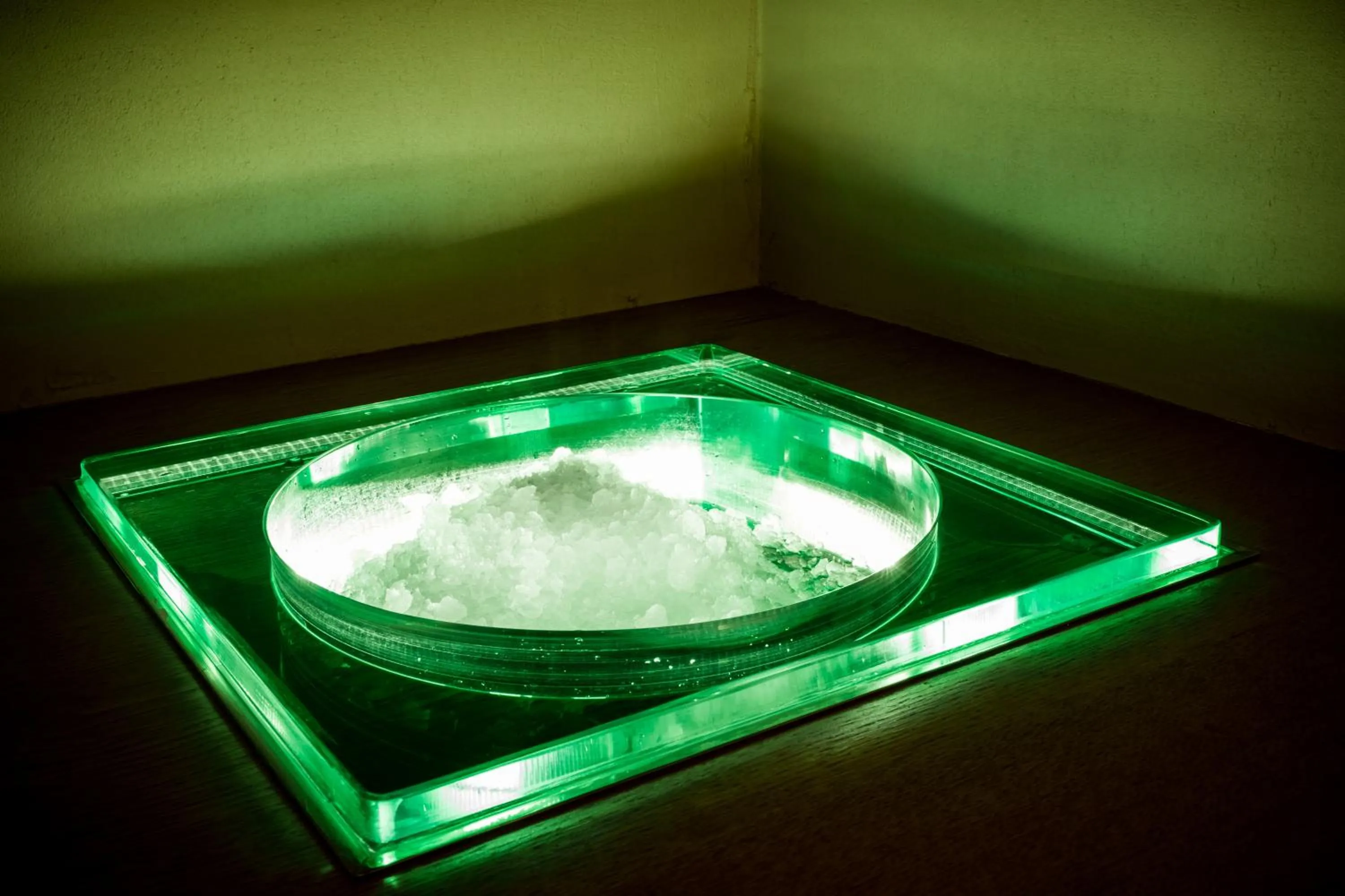 Spa and wellness centre/facilities in Hotel Gries