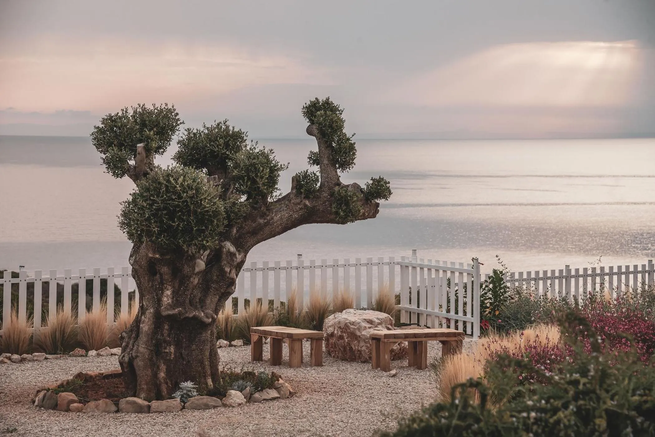 Aliv stone suites & spa