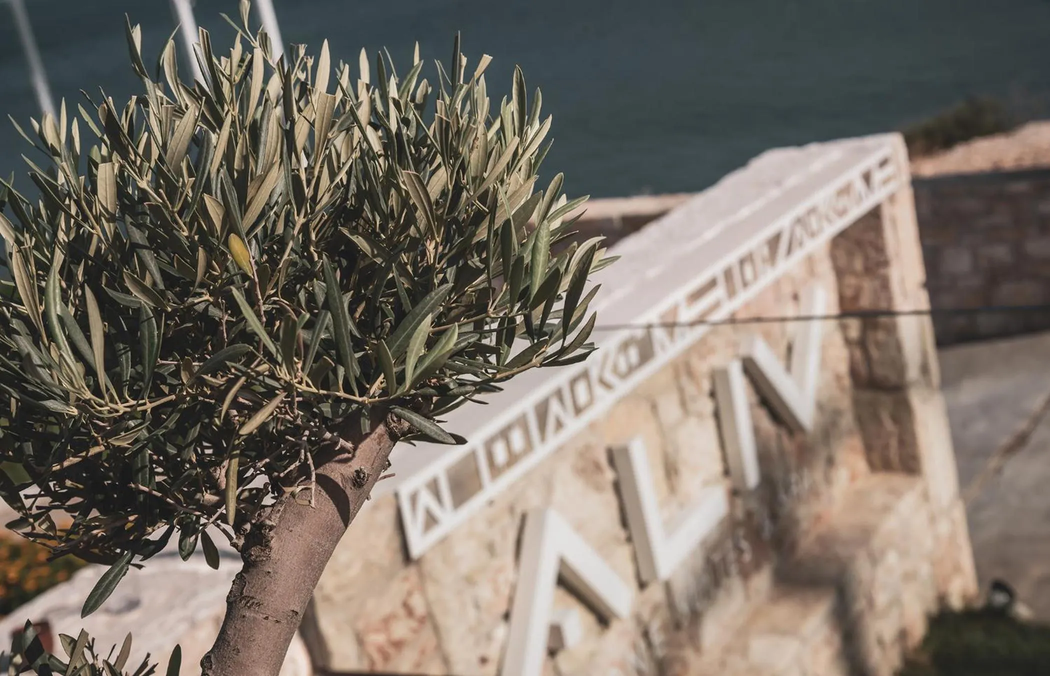 Aliv stone suites & spa